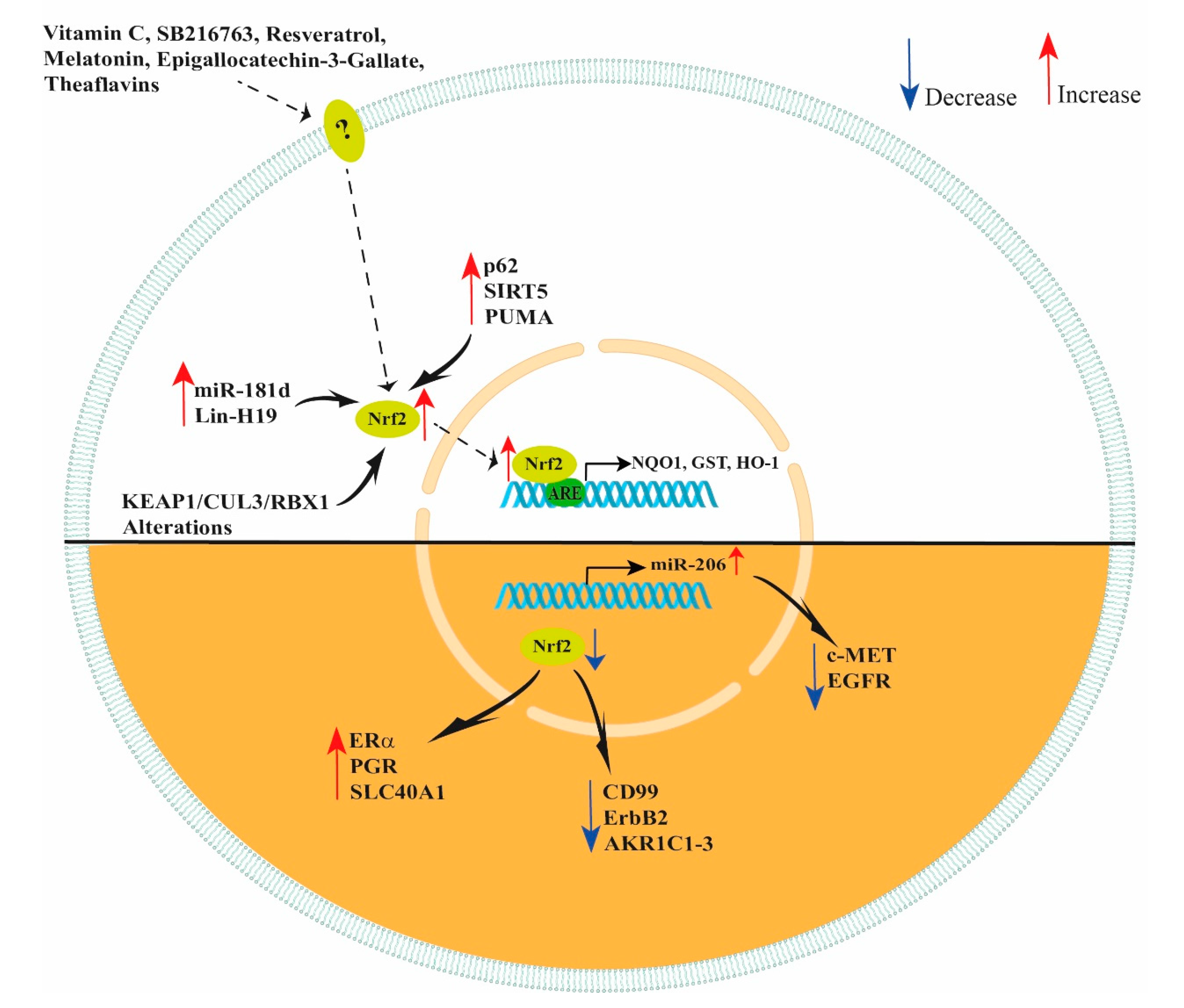 Antioxidants 11 00663 g002