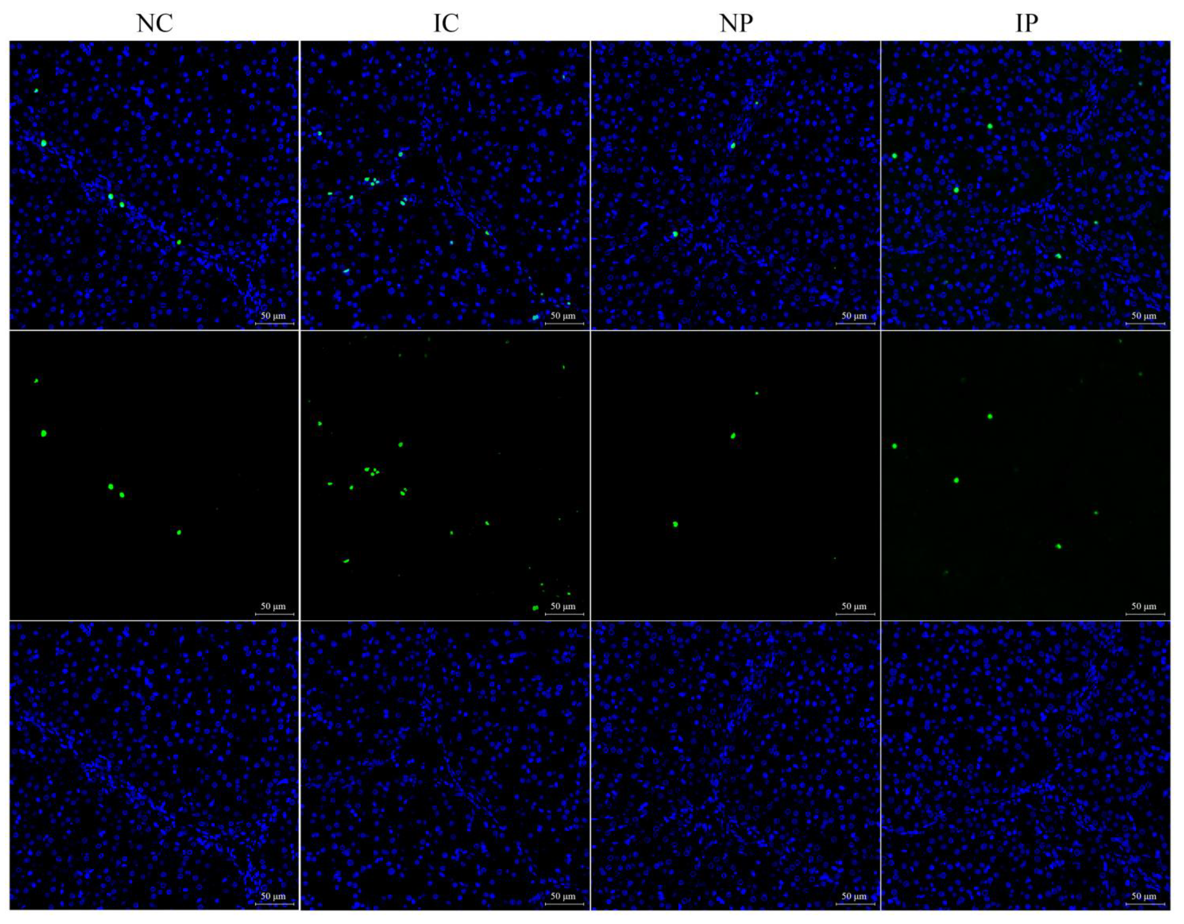 Antioxidants 11 00666 g001