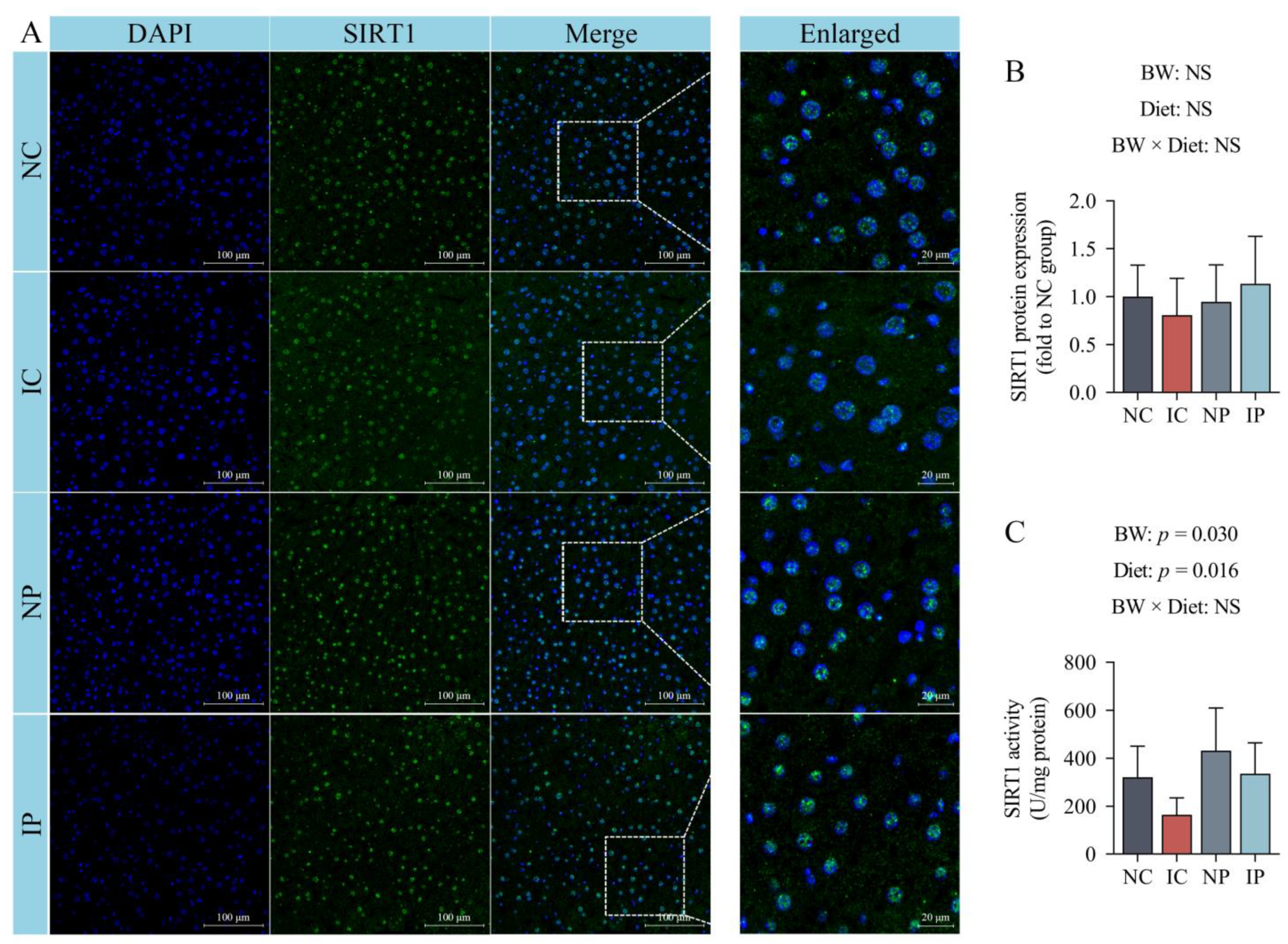 Antioxidants 11 00666 g004