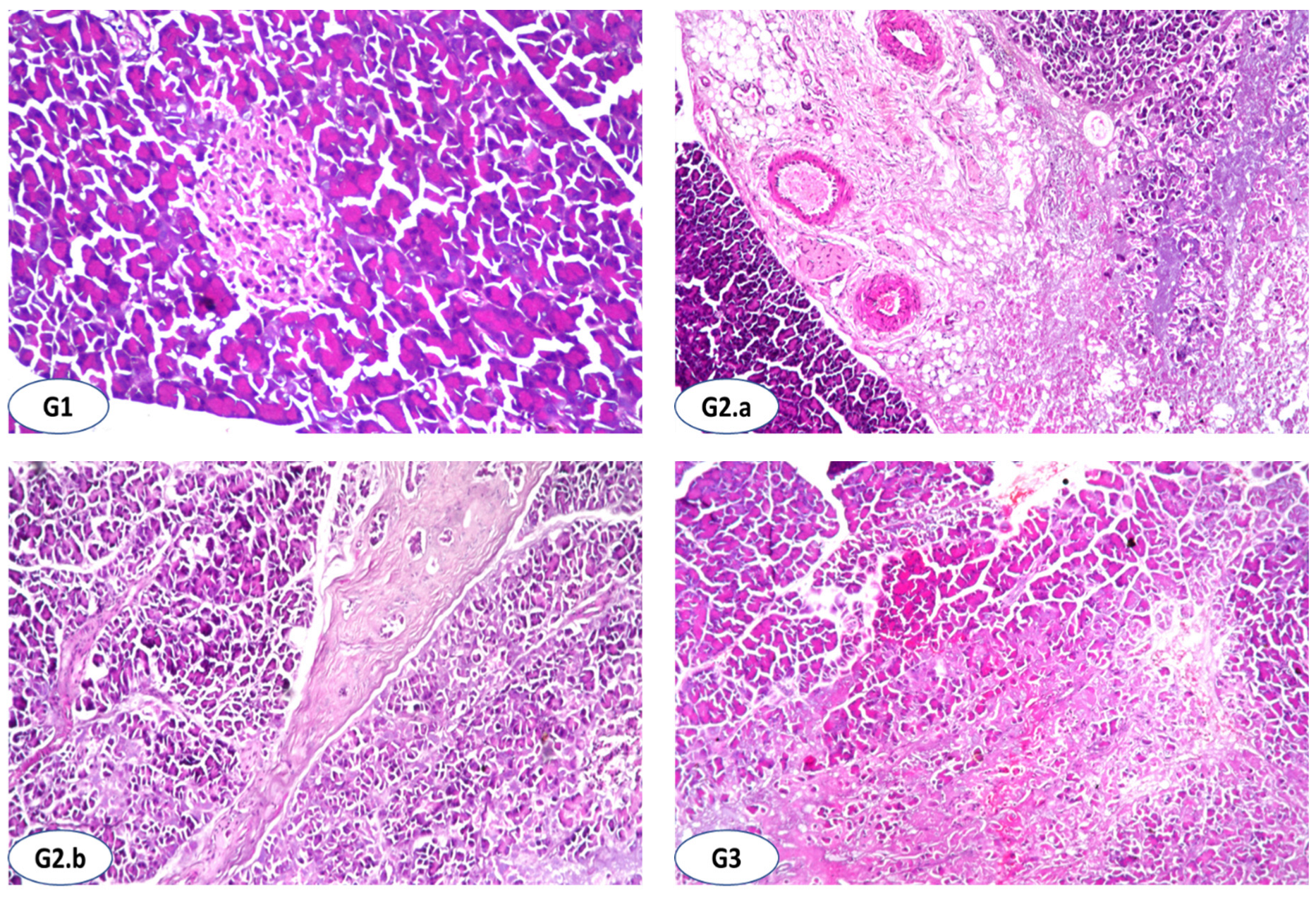 Antioxidants 11 00668 g001a
