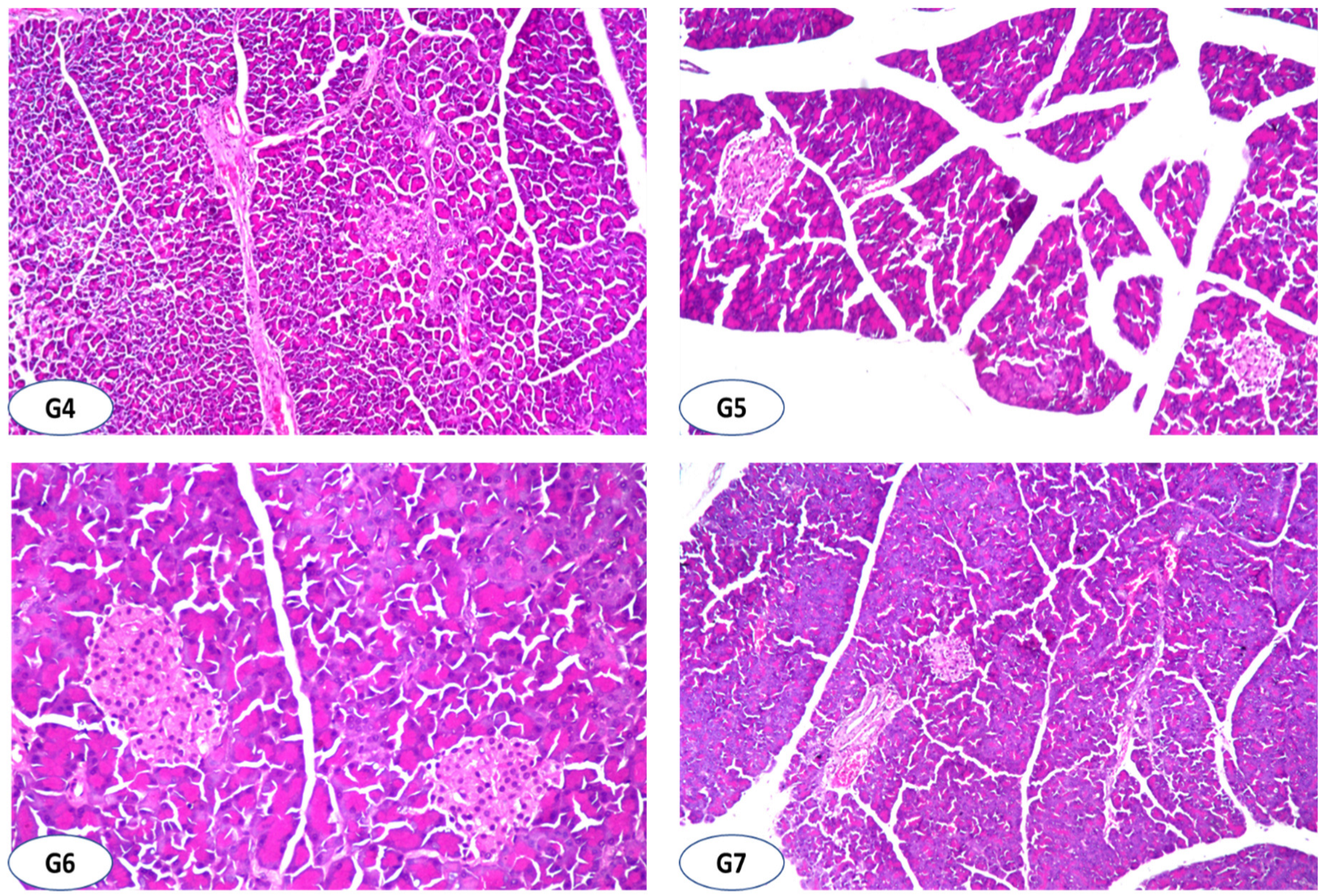Antioxidants 11 00668 g001b