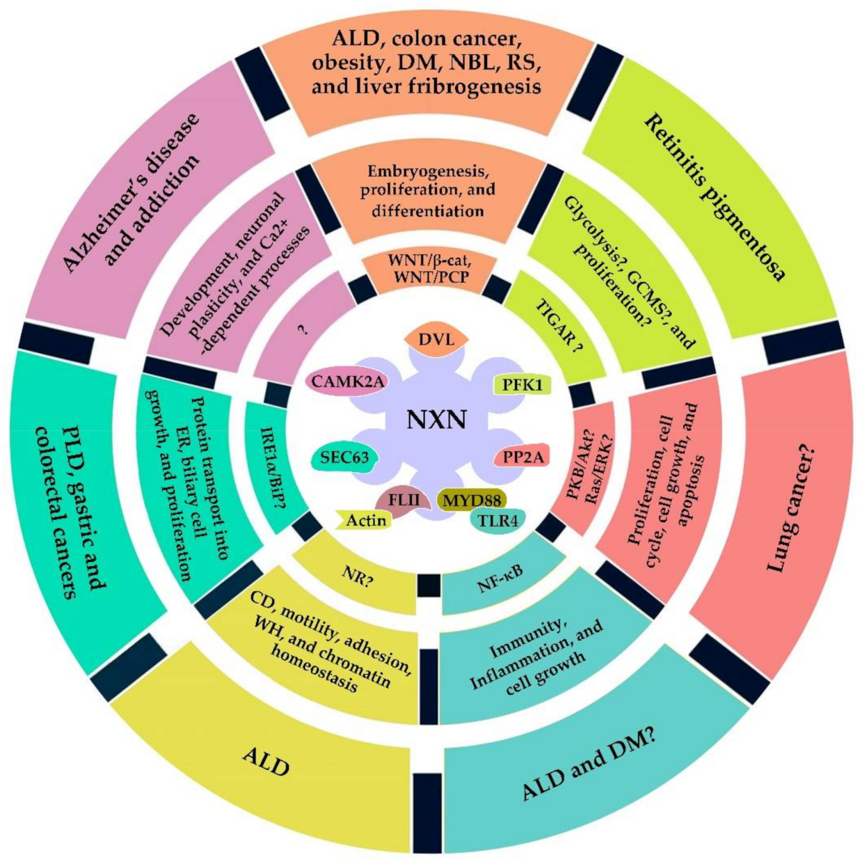 Antioxidants 11 00670 g004