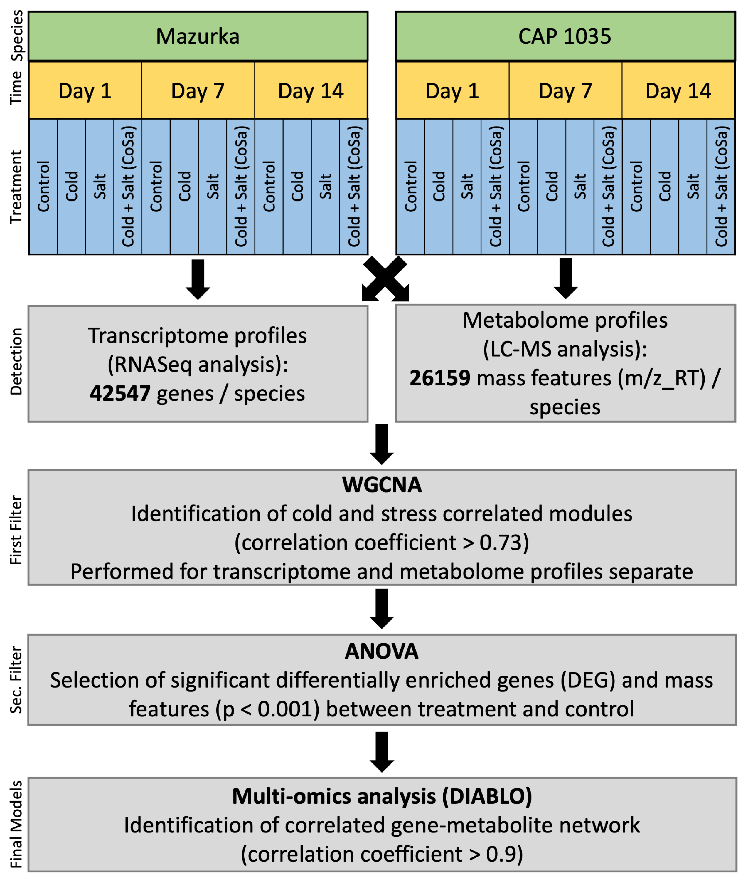 Antioxidants 11 00671 g001