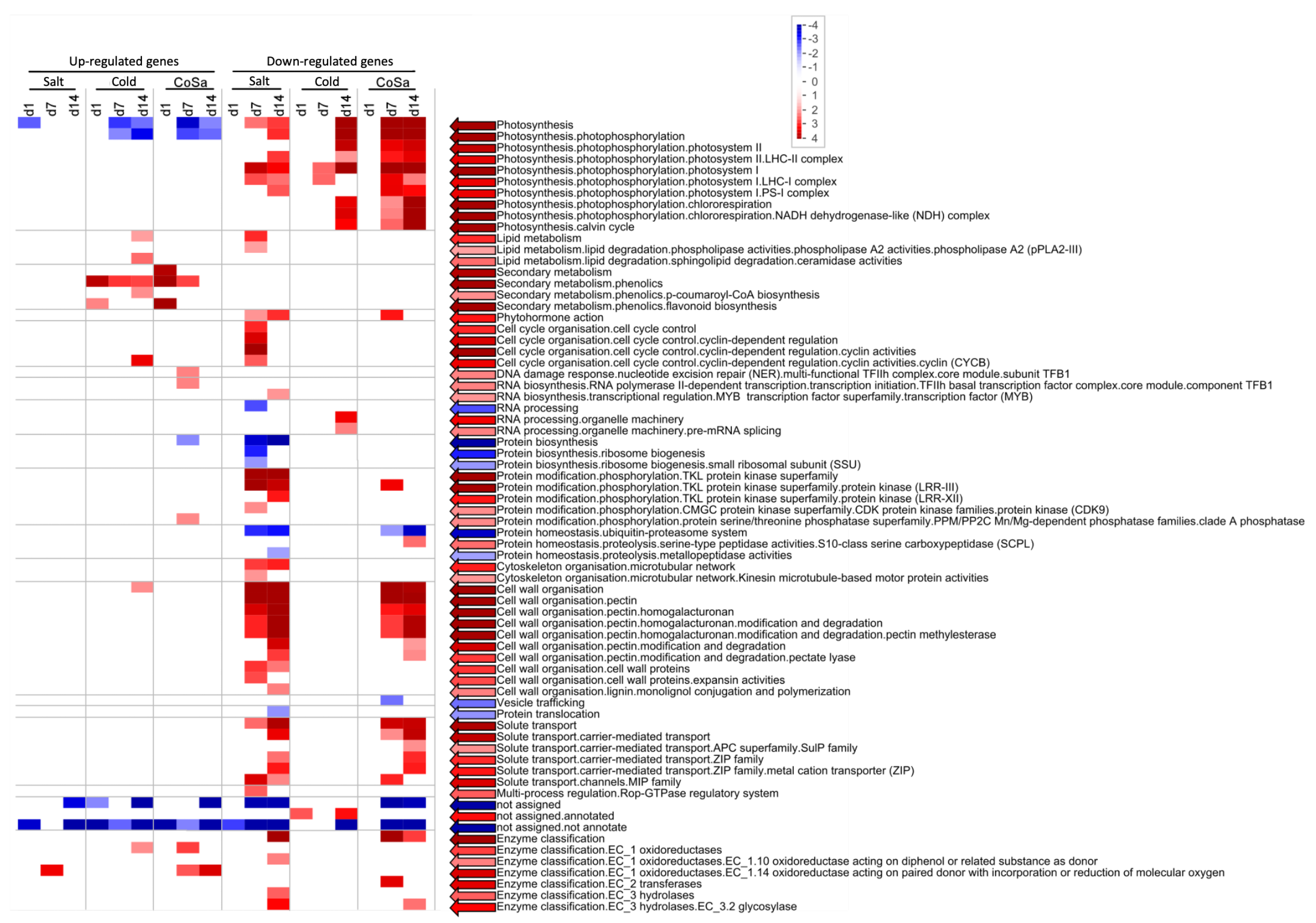 Antioxidants 11 00671 g003