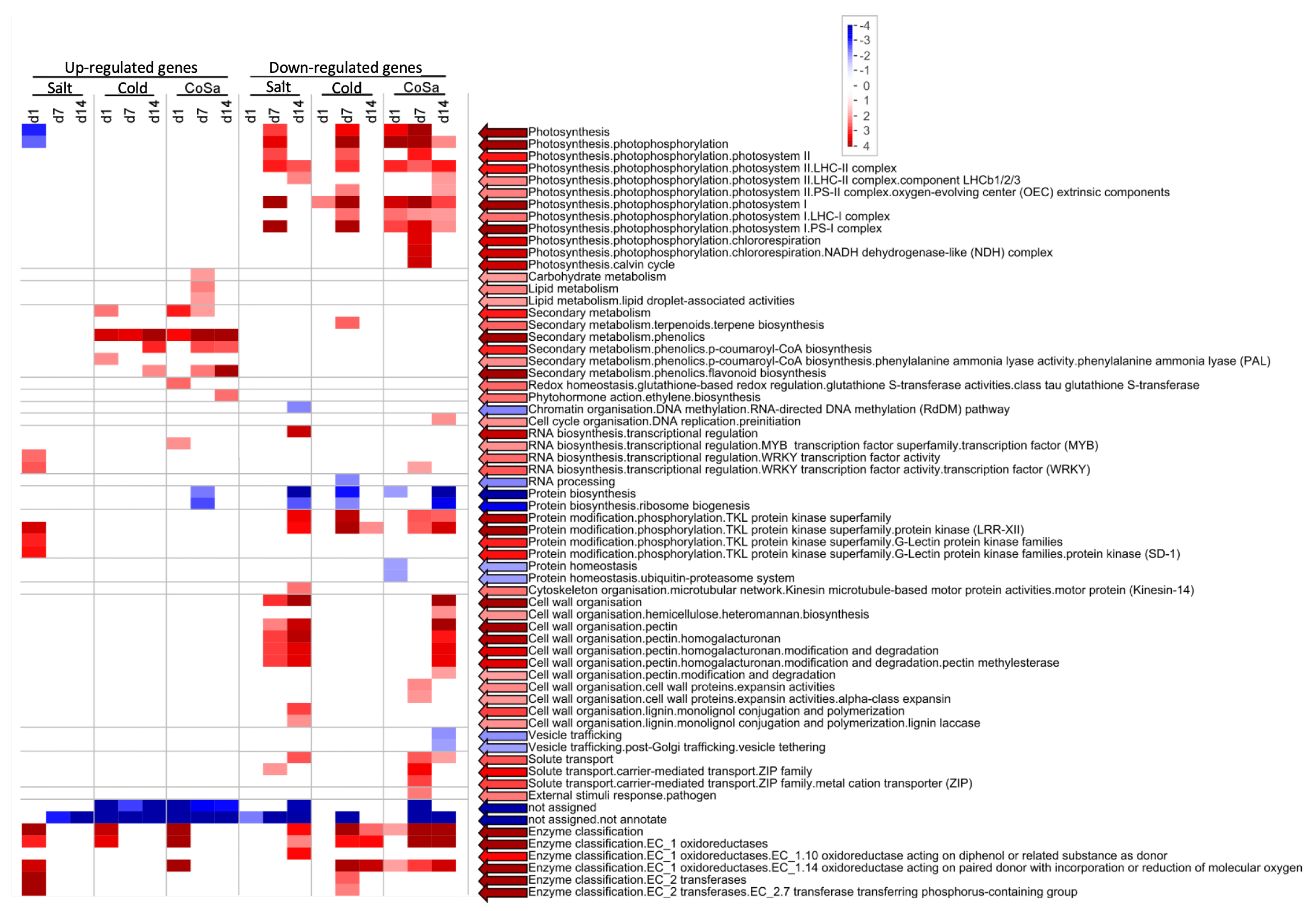 Antioxidants 11 00671 g004