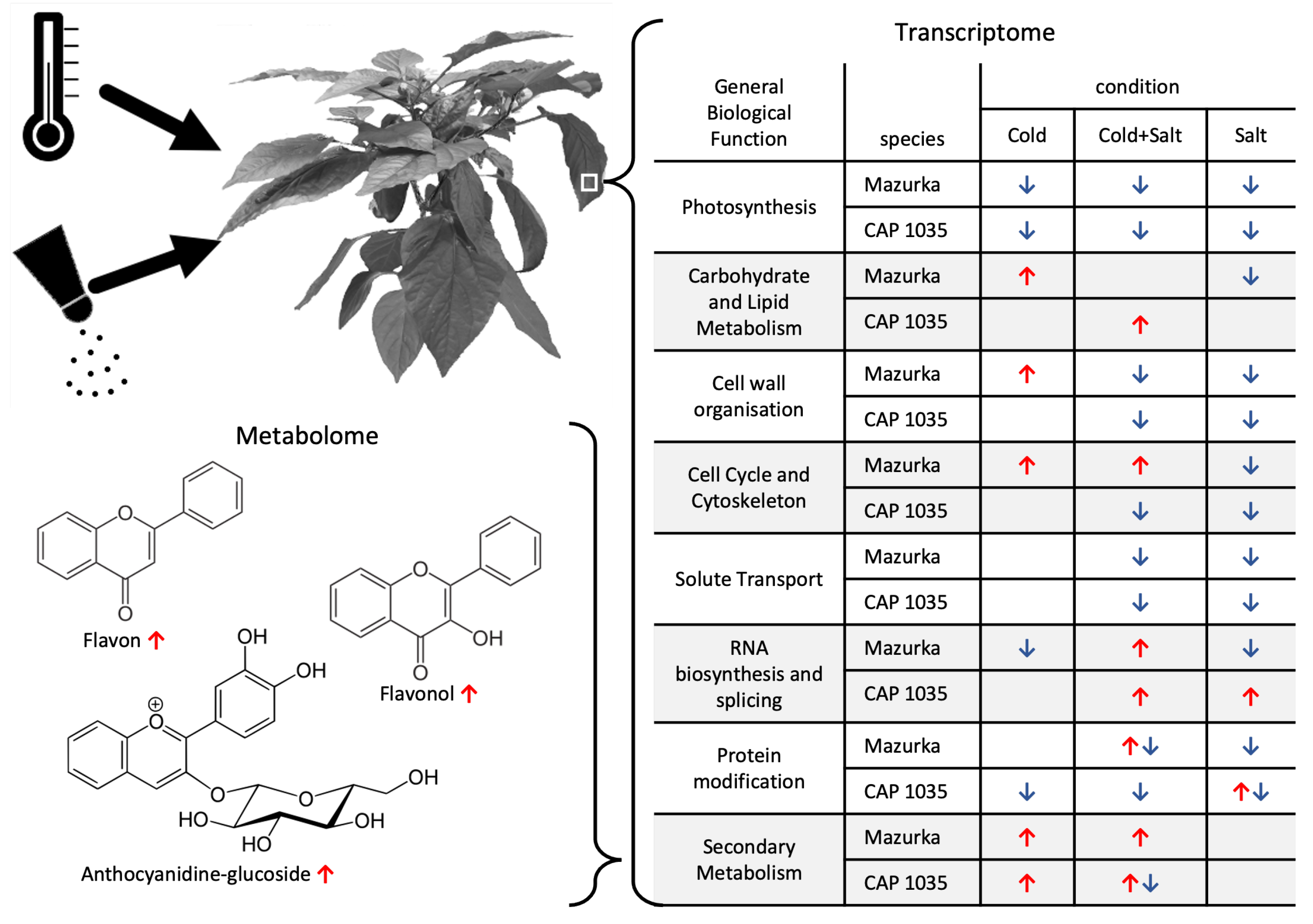 Antioxidants 11 00671 g010
