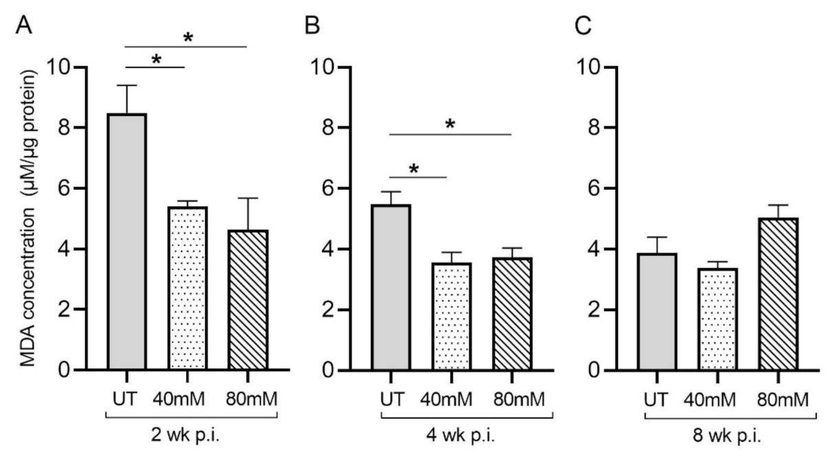 Antioxidants 11 00673 g002