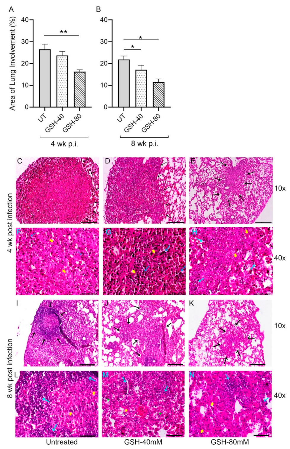 Antioxidants 11 00673 g006