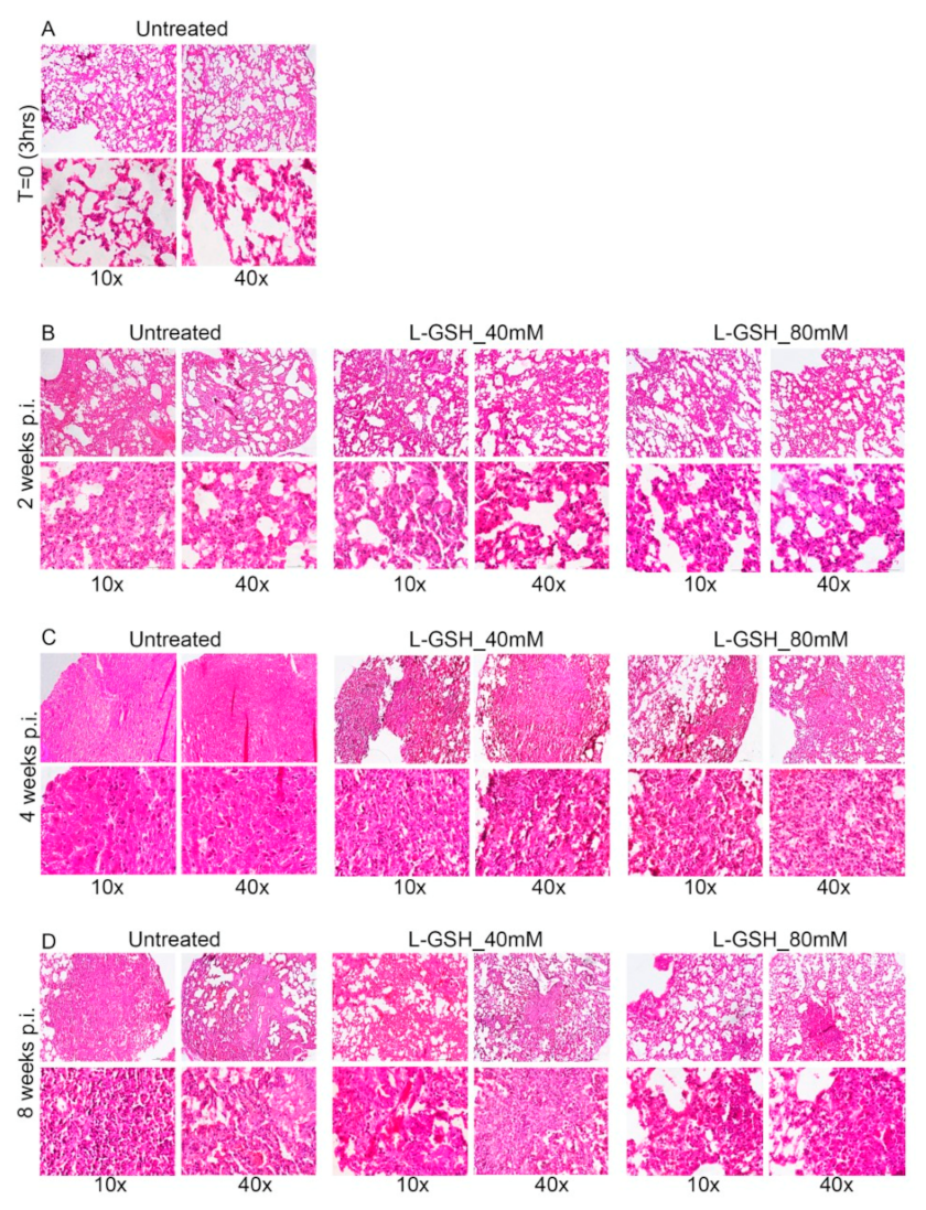 Antioxidants 11 00673 g0a1