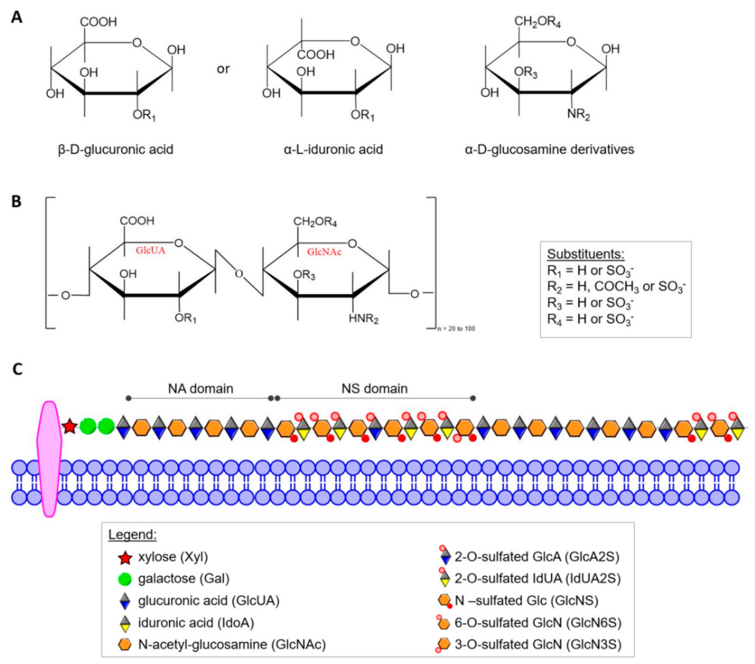 Antioxidants 11 00678 g001