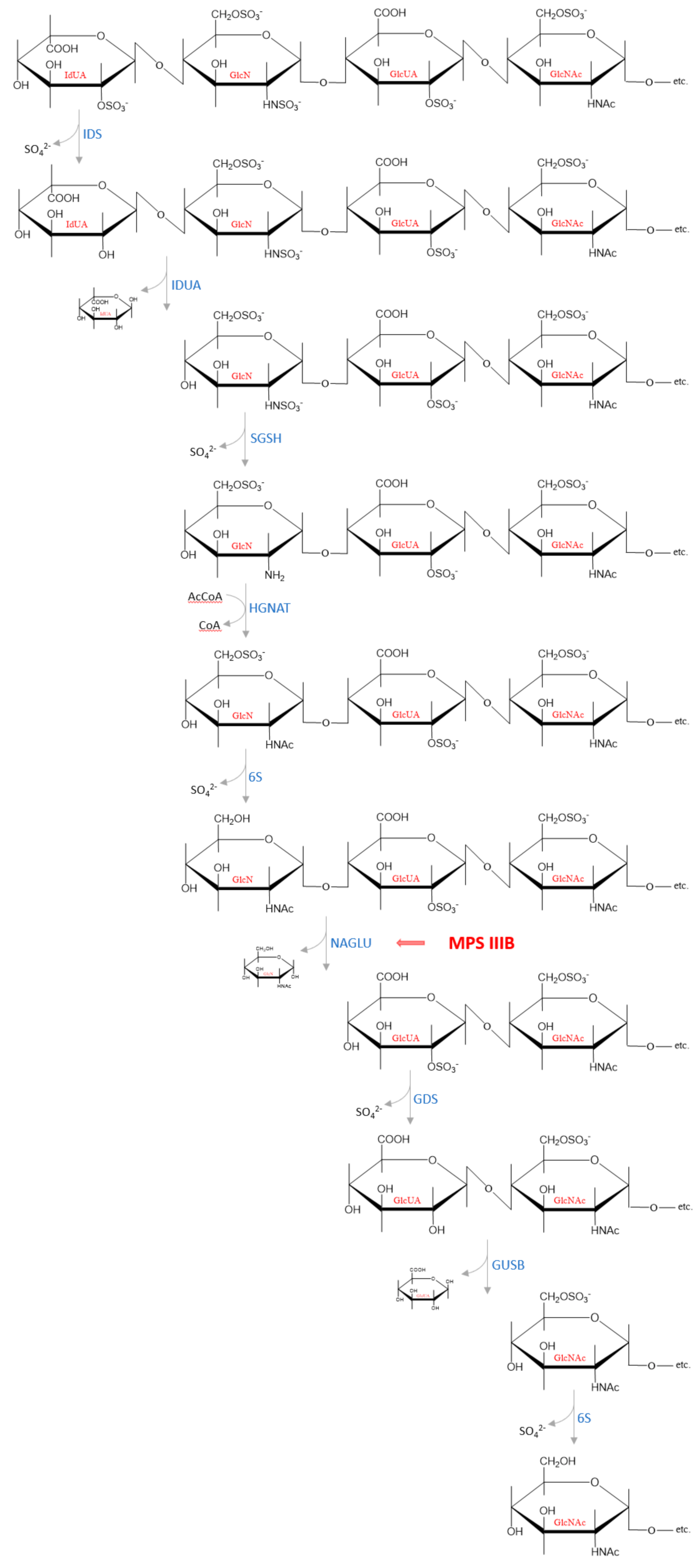 Antioxidants 11 00678 g003