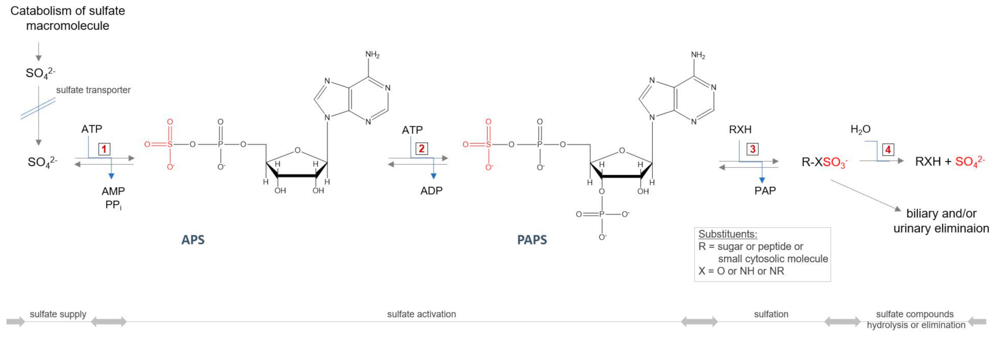 Antioxidants 11 00678 g005