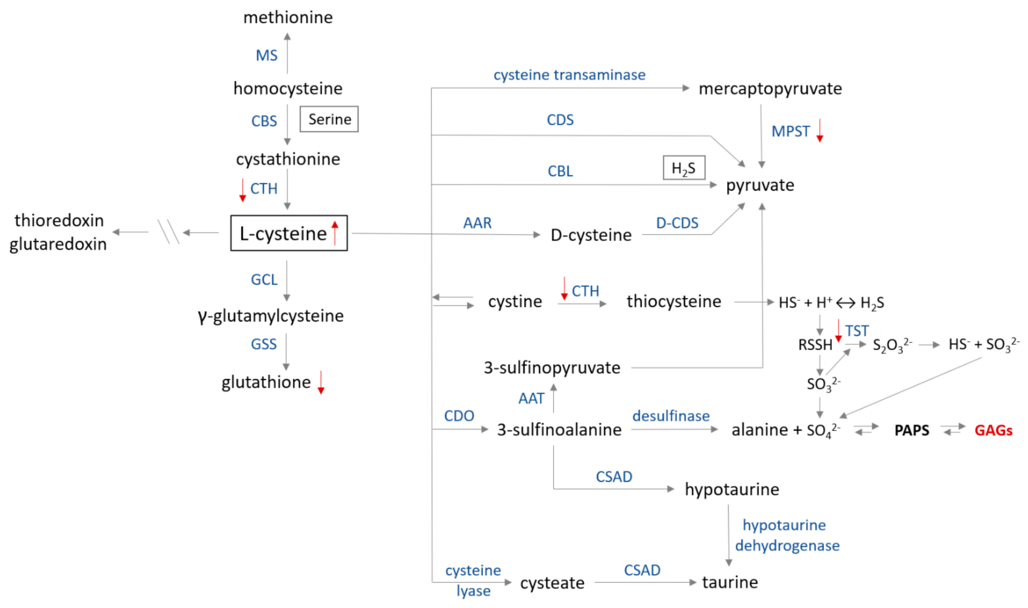 Antioxidants 11 00678 g006
