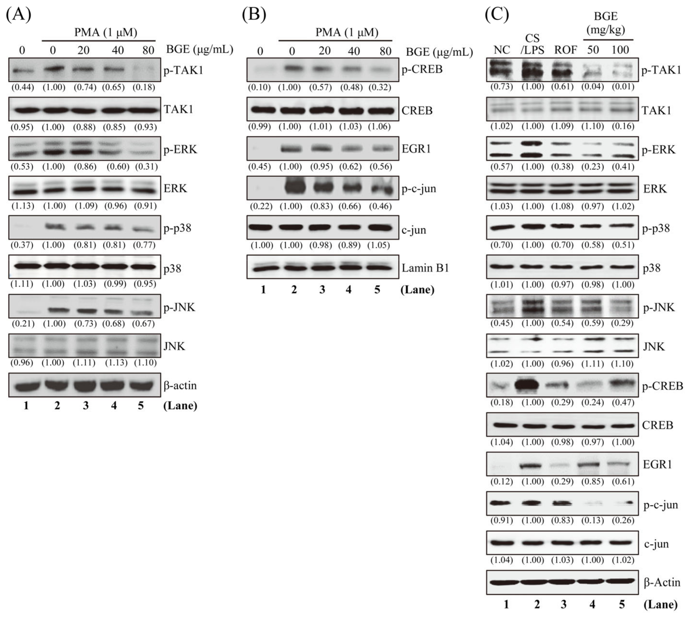 Antioxidants 11 00679 g004