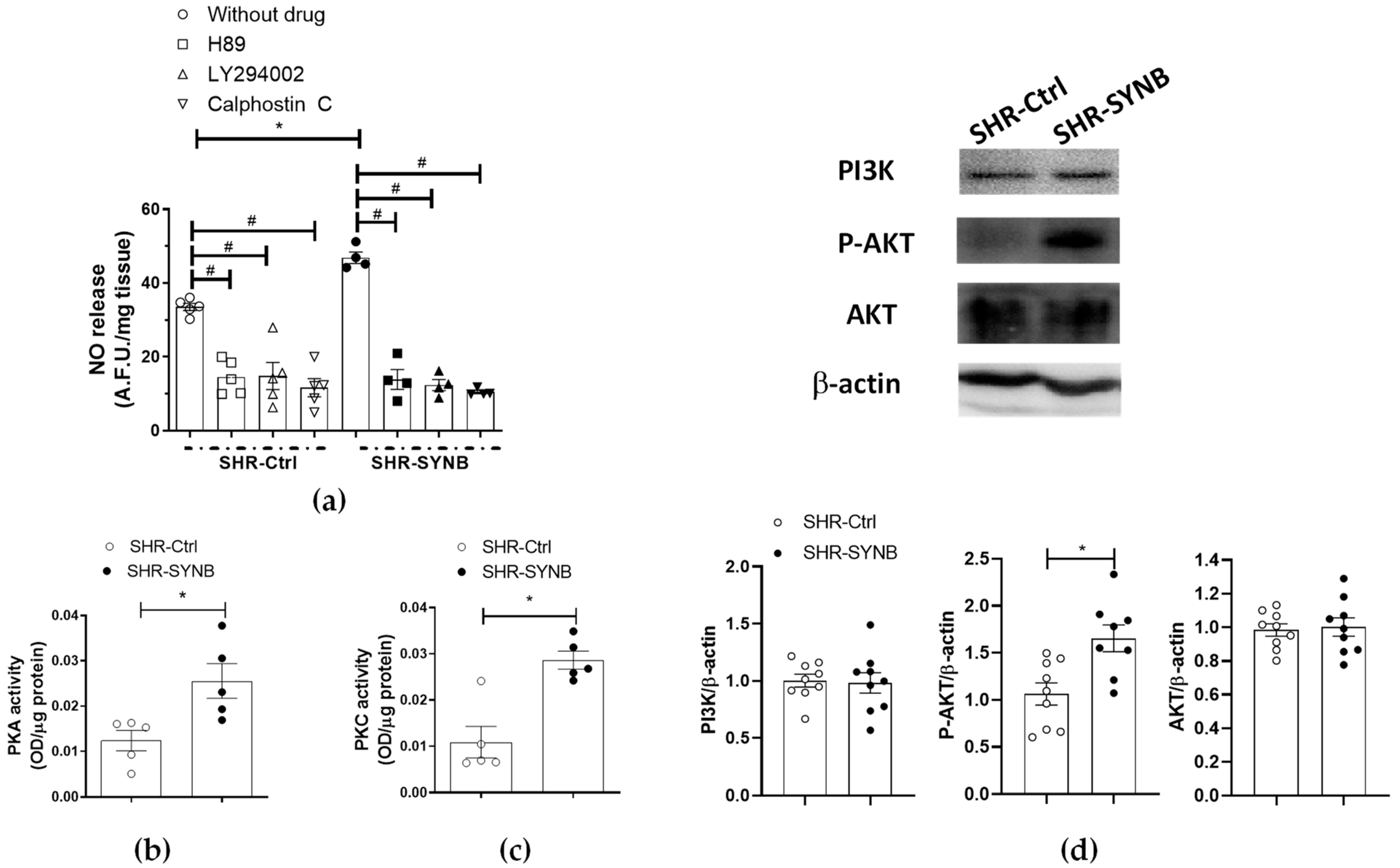 Antioxidants 11 00680 g005