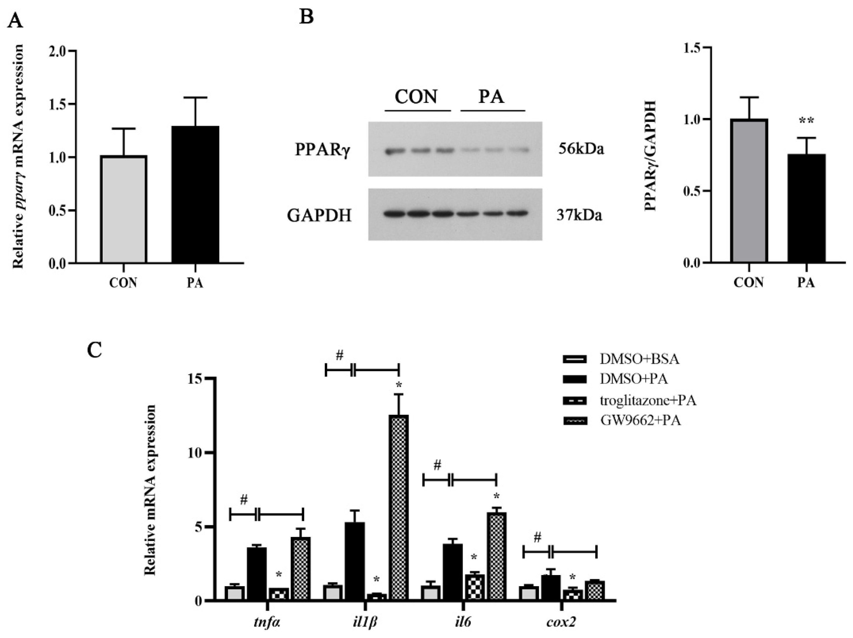 Antioxidants 11 00682 g005