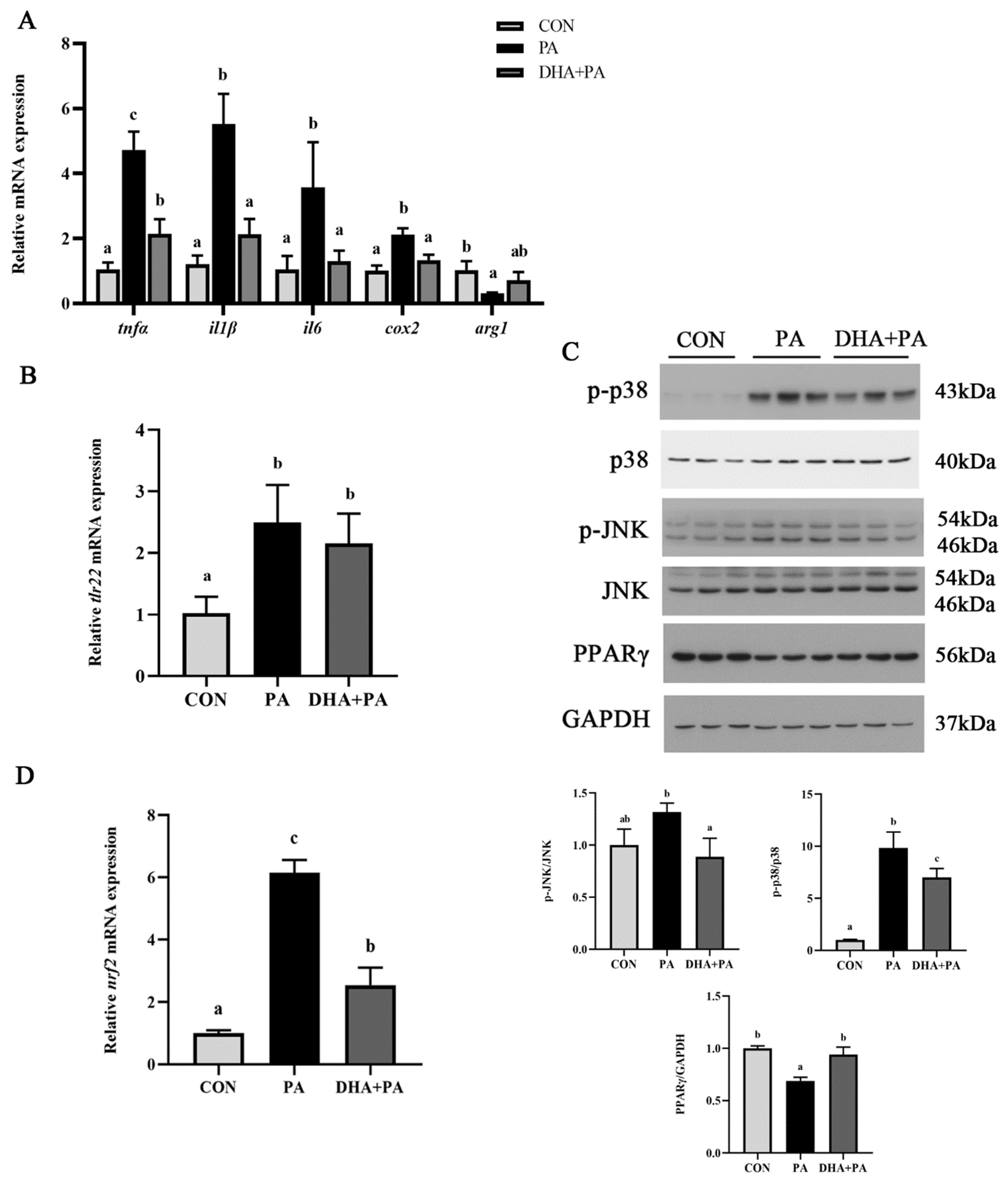 Antioxidants 11 00682 g008