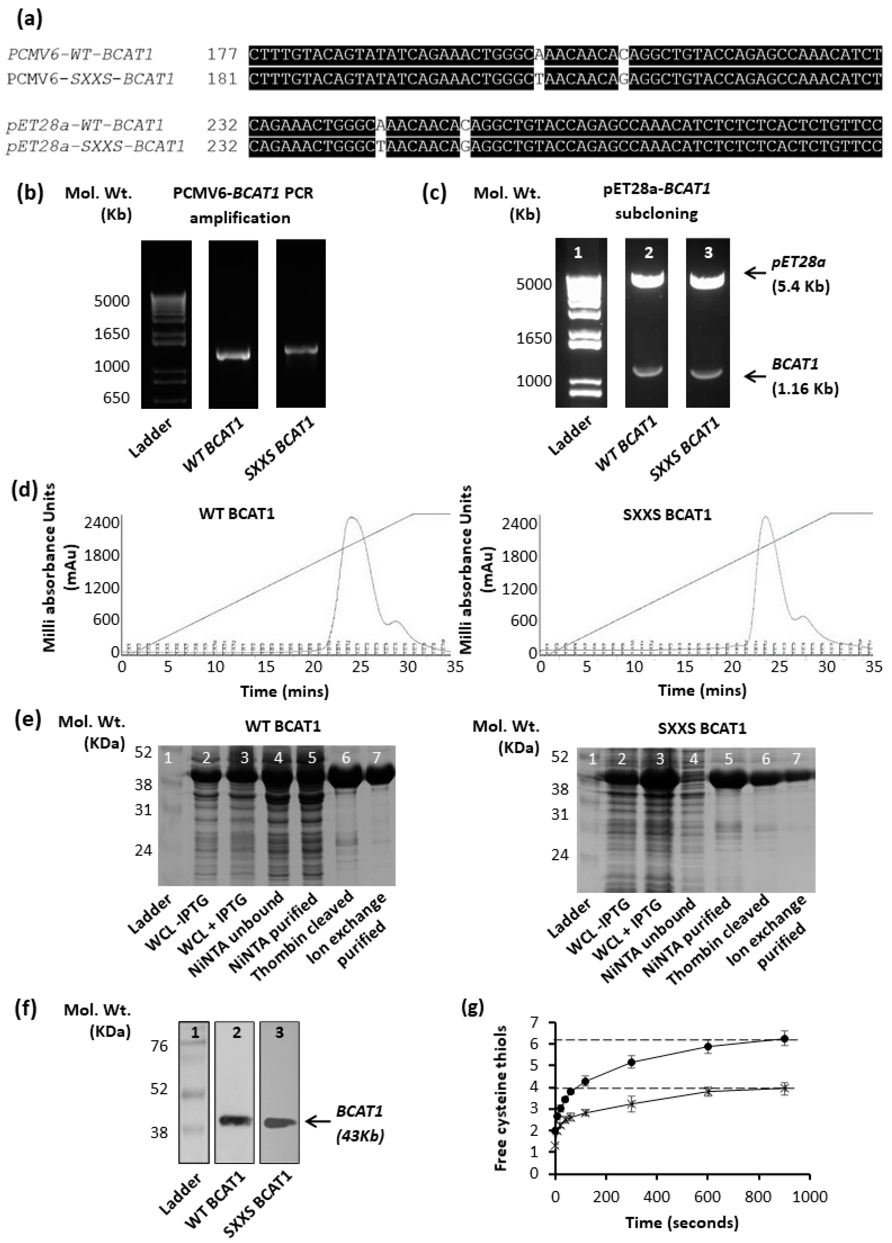 Antioxidants 11 00683 g001 Antioxidants 11 00683 g001