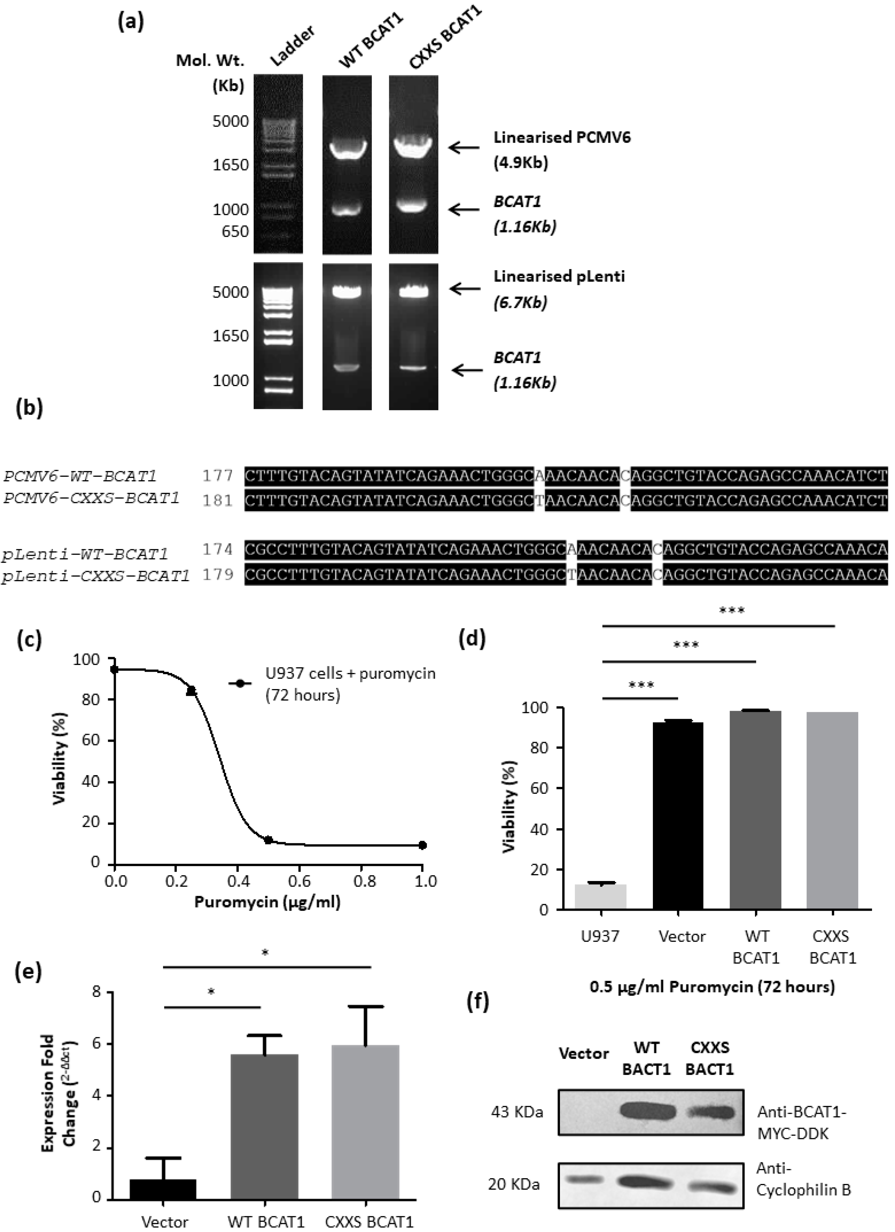 Antioxidants 11 00683 g003 Antioxidants 11 00683 g003