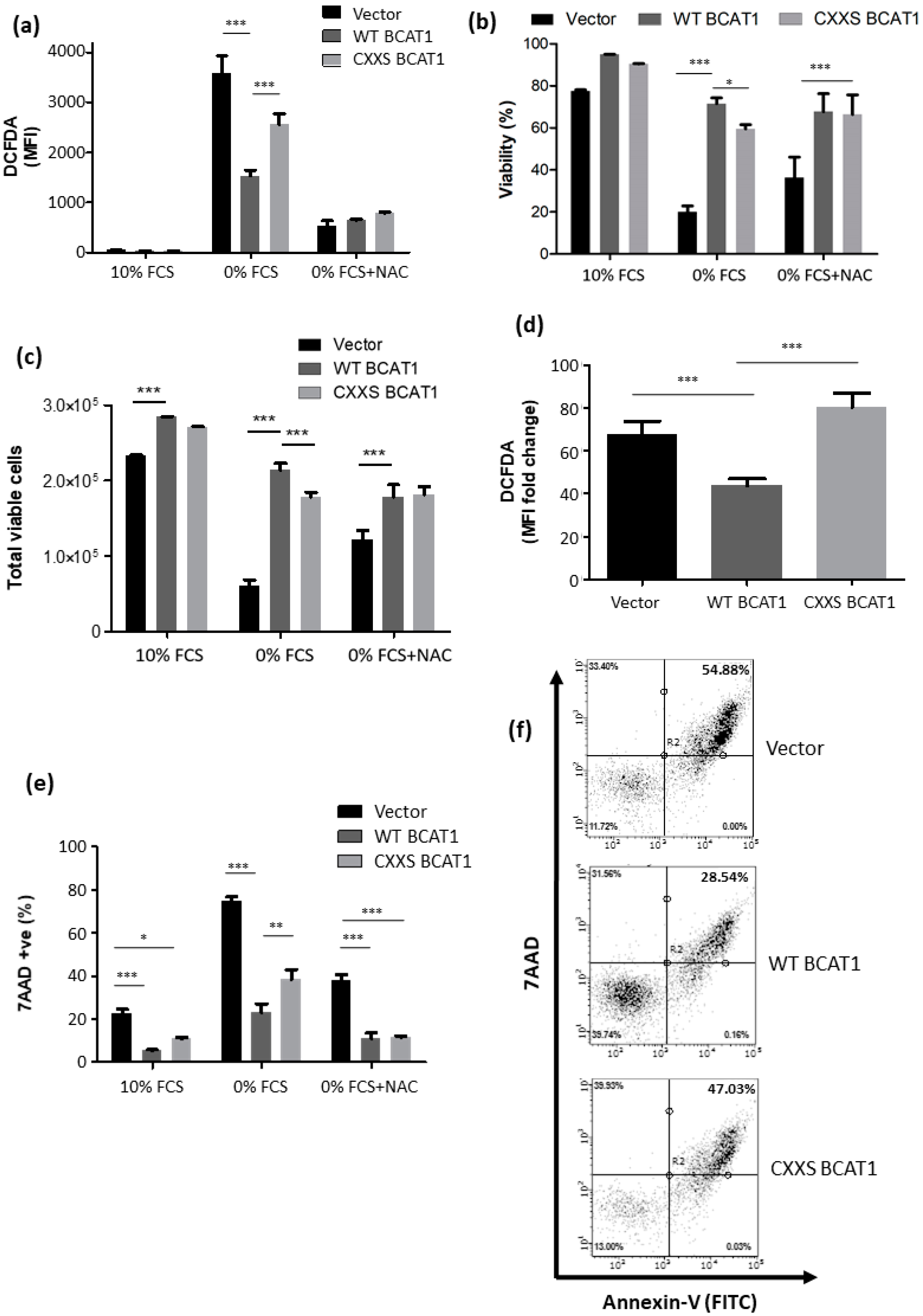 Antioxidants 11 00683 g005 Antioxidants 11 00683 g005