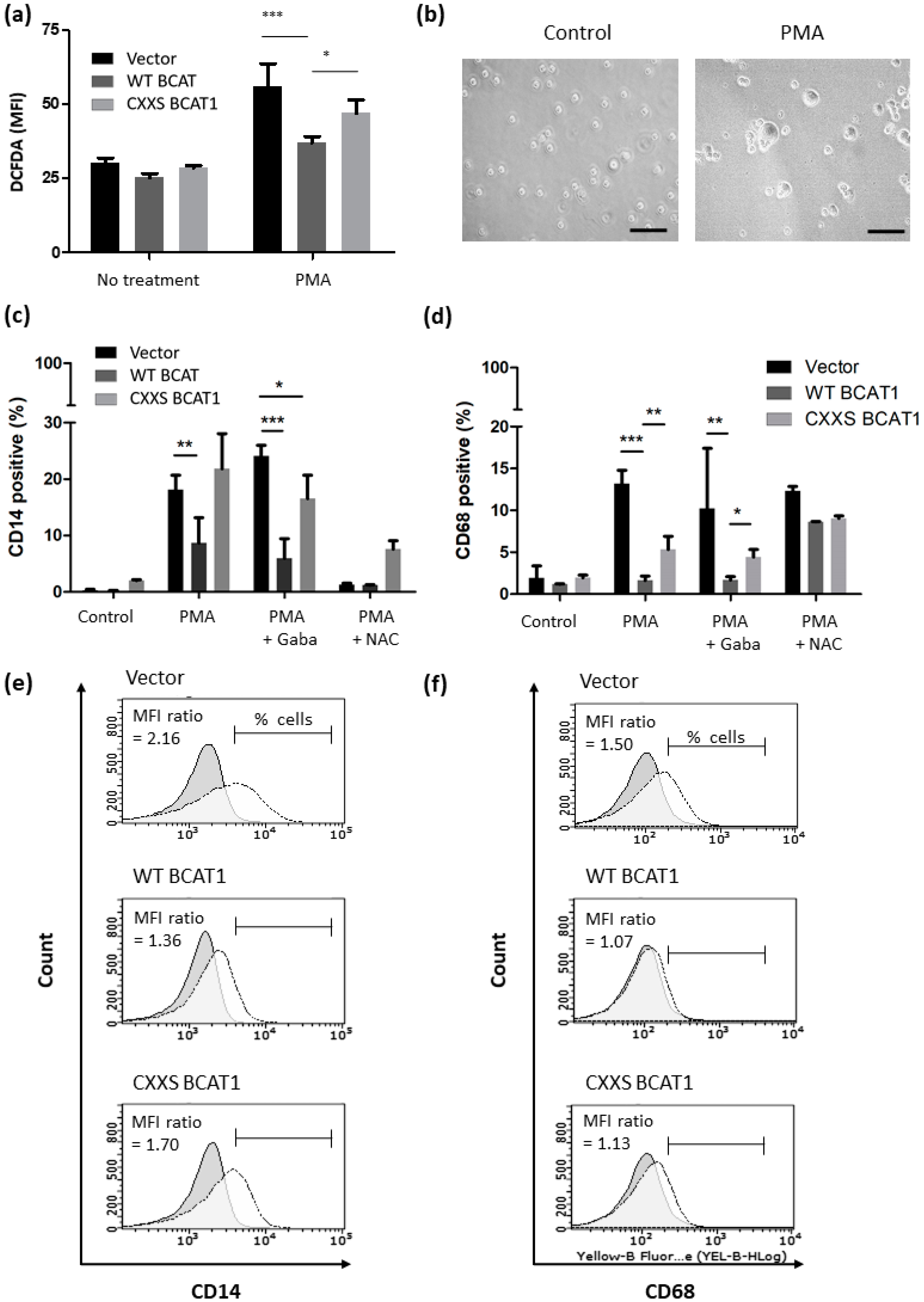 Antioxidants 11 00683 g007 Antioxidants 11 00683 g007
