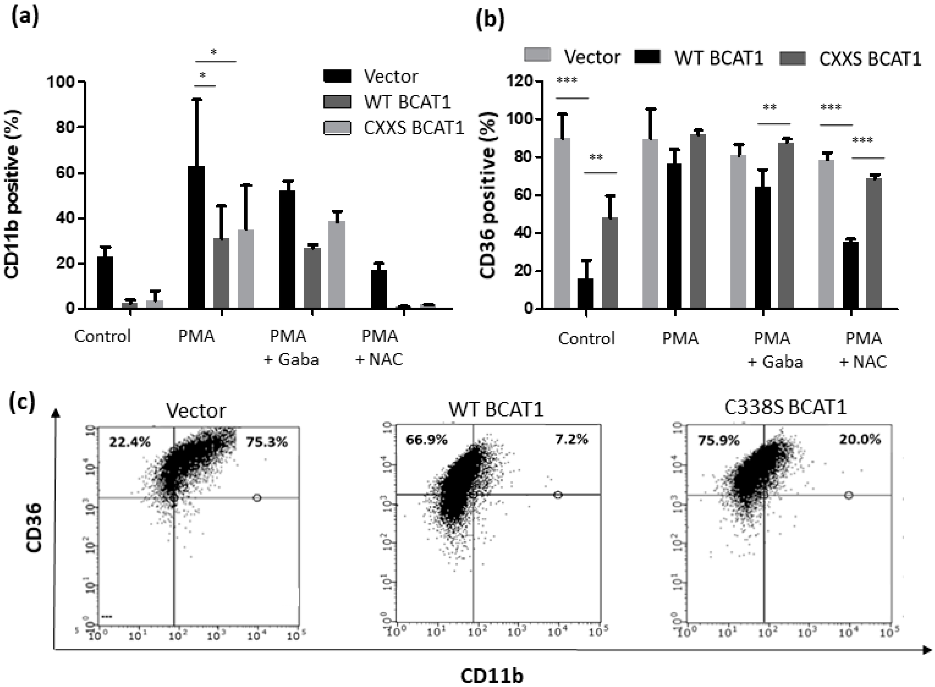 Antioxidants 11 00683 g008 Antioxidants 11 00683 g008