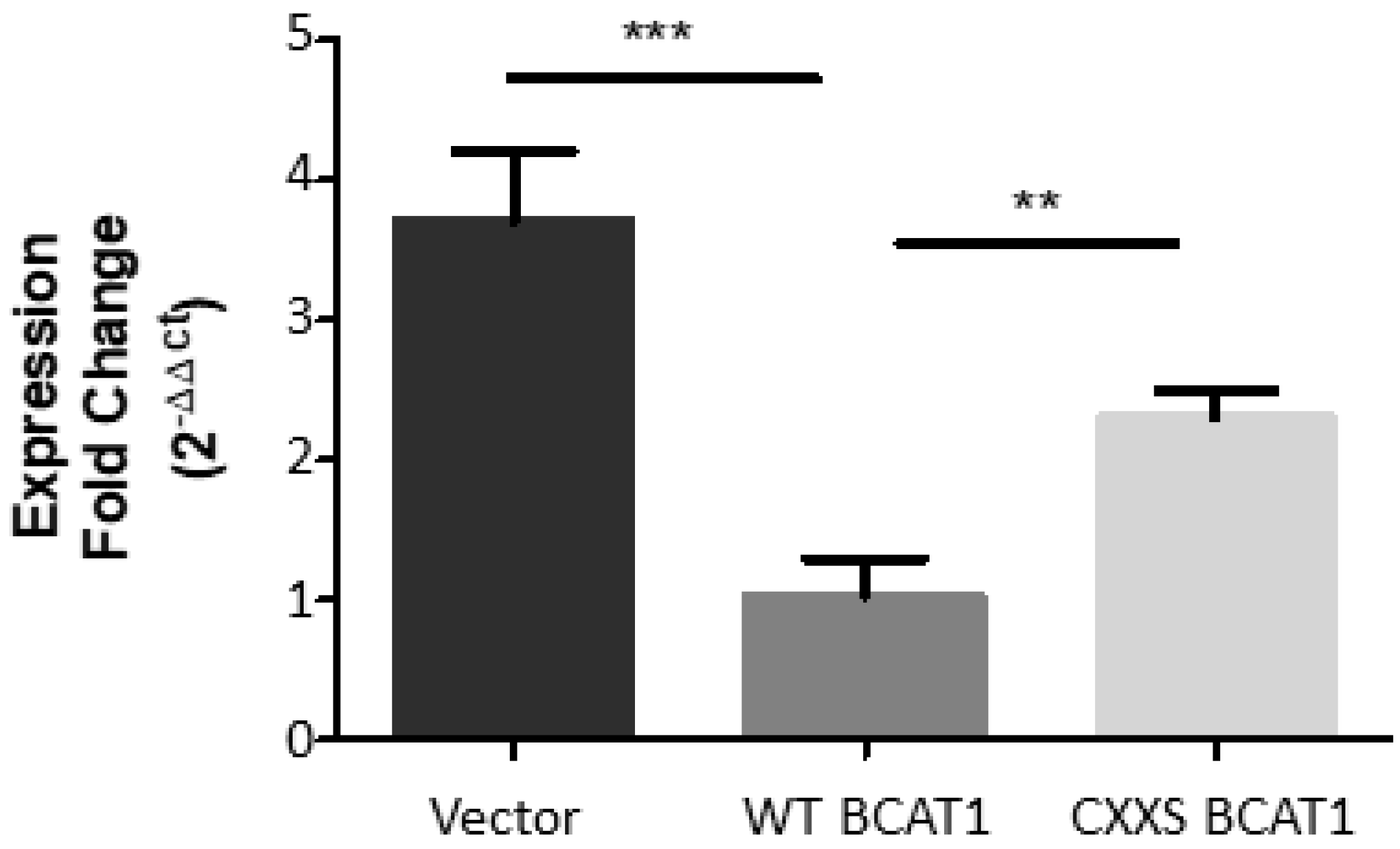 Antioxidants 11 00683 g009 Antioxidants 11 00683 g009