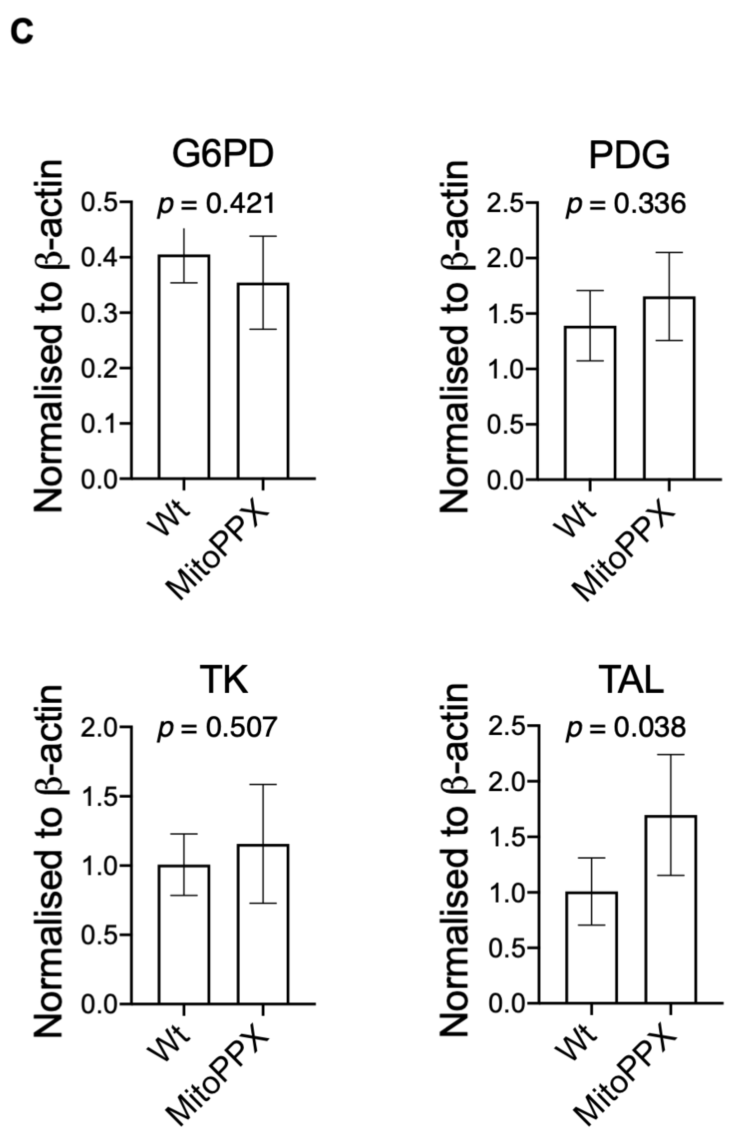 Antioxidants 11 00685 g004b