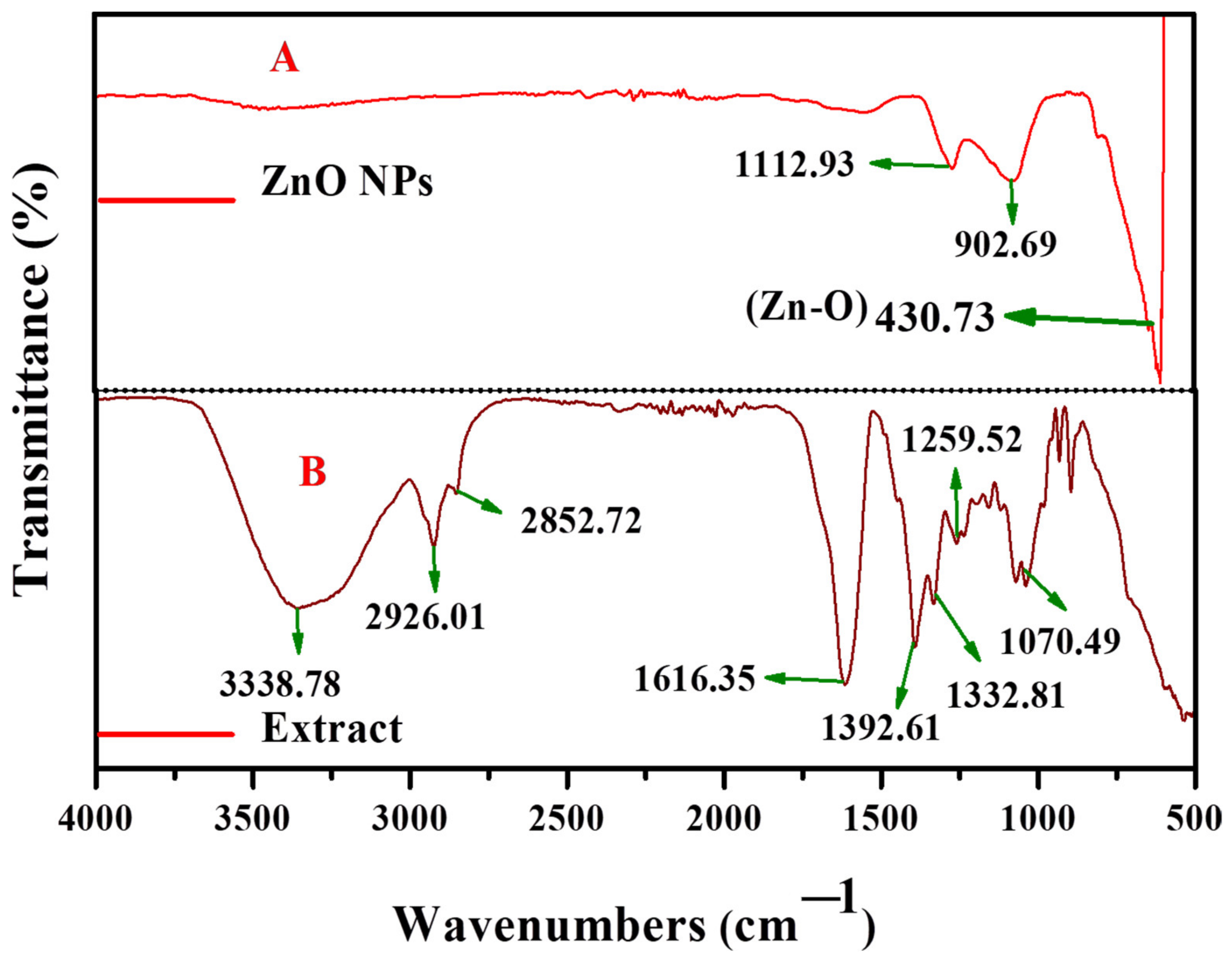 Antioxidants 11 00688 g004