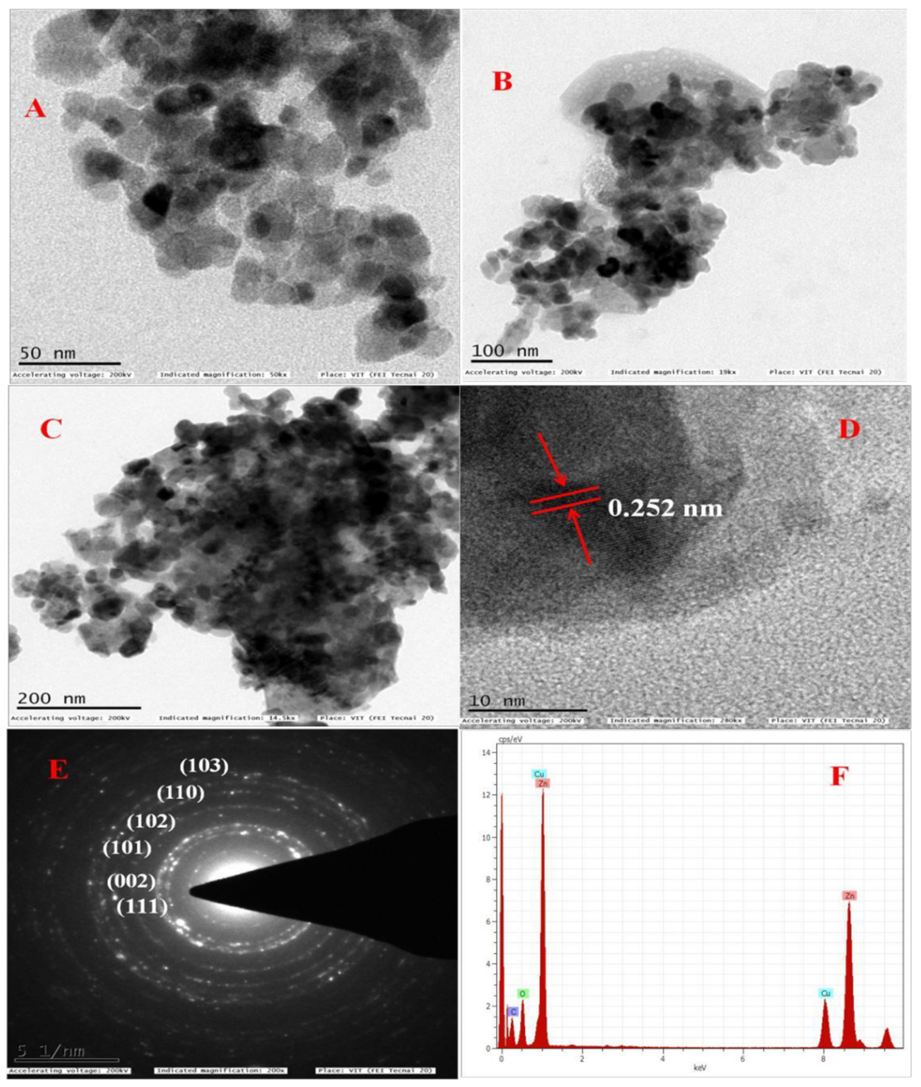 Antioxidants 11 00688 g006