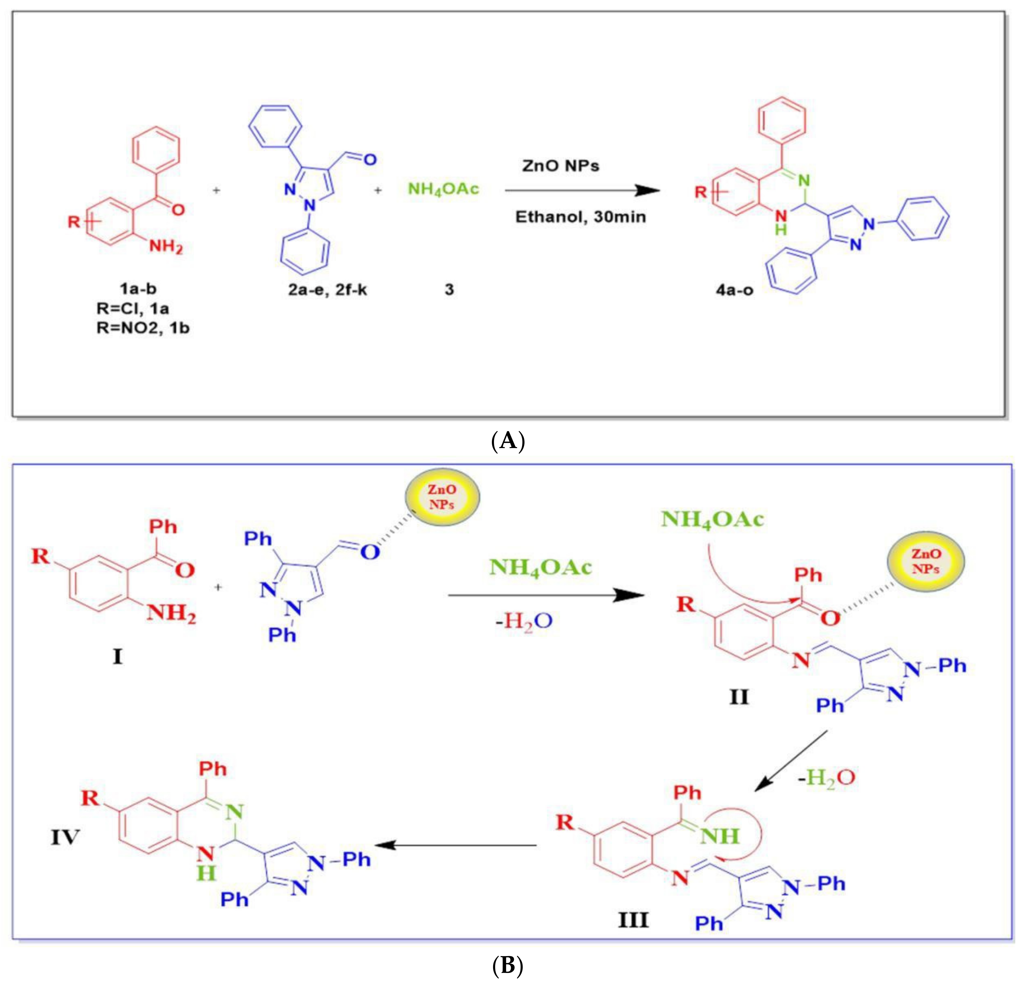 Antioxidants 11 00688 g008