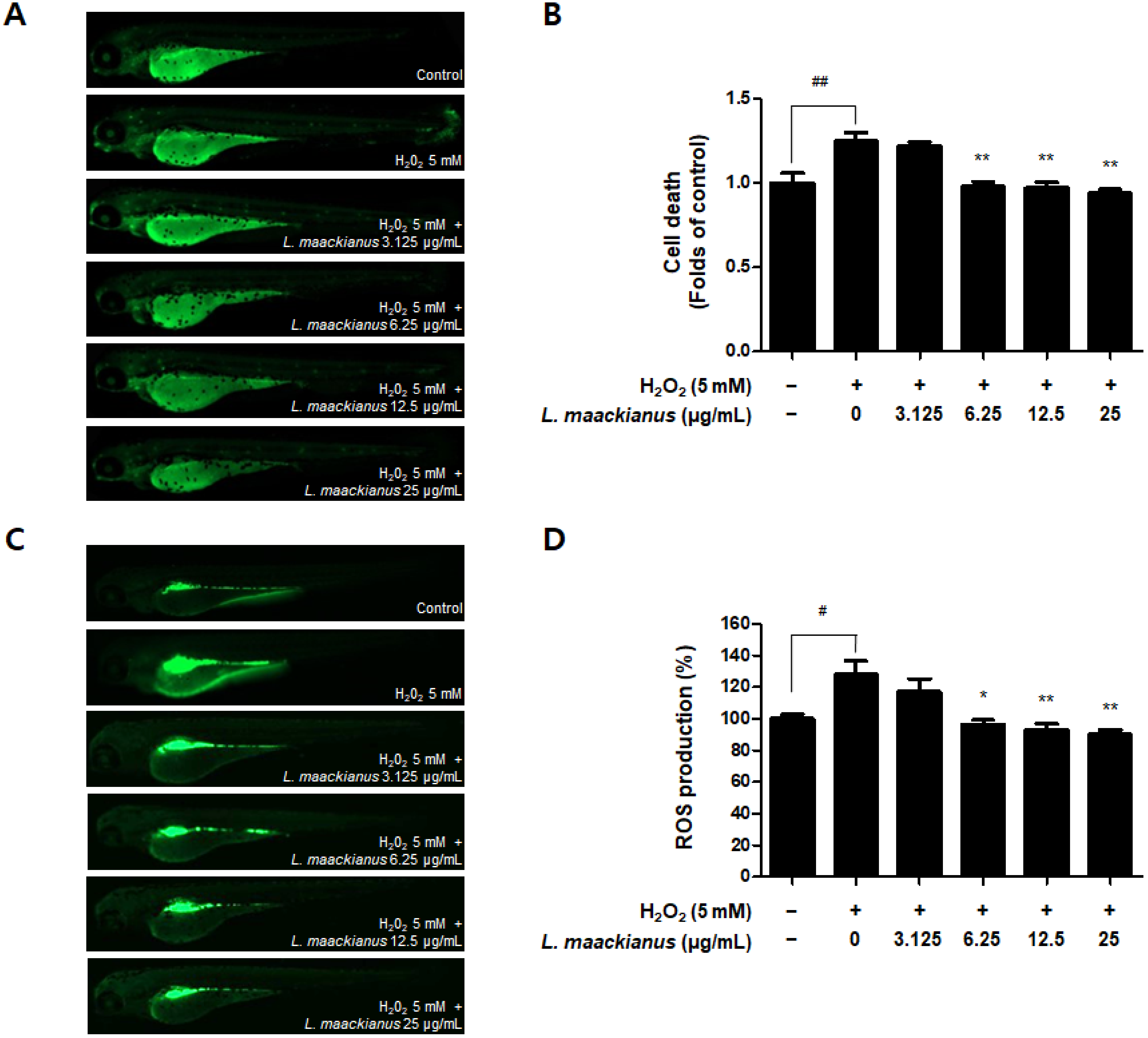 Antioxidants 11 00690 g008