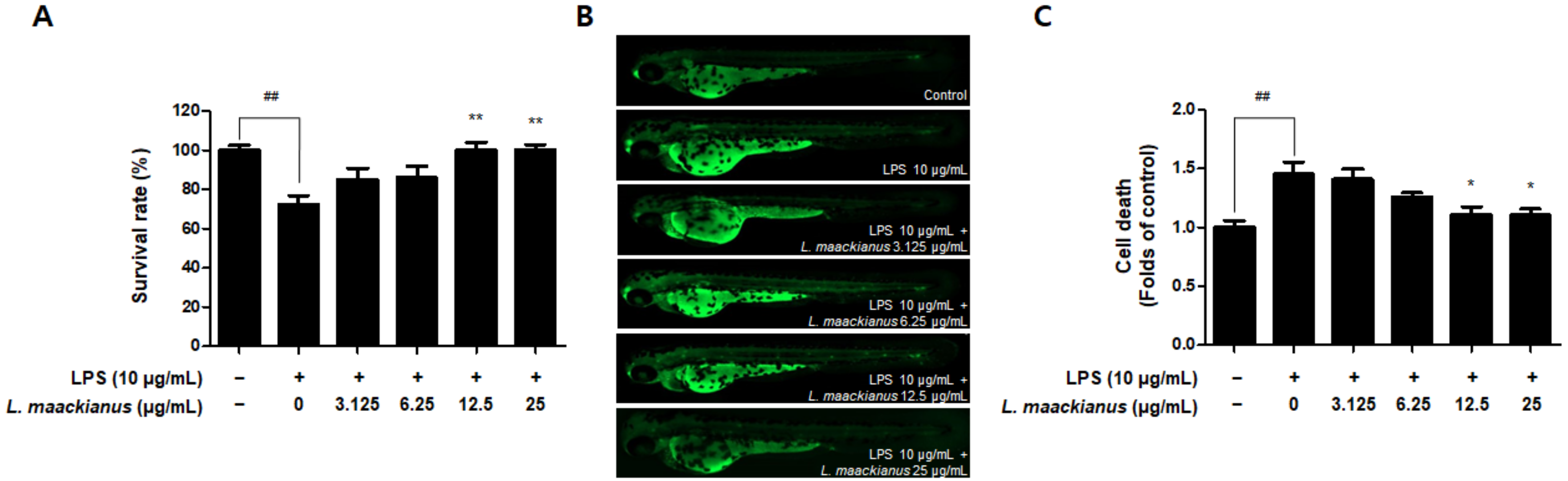 Antioxidants 11 00690 g009