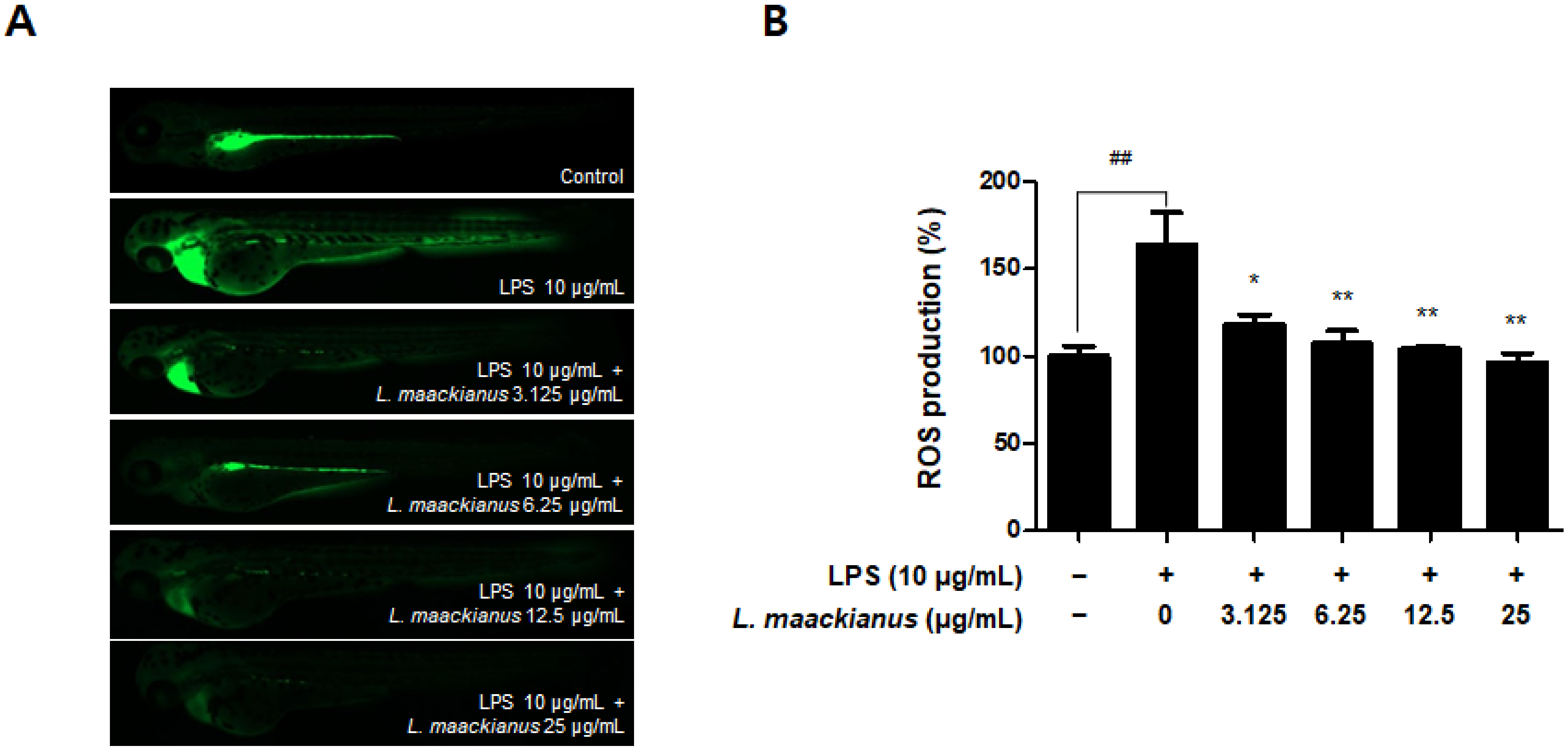 Antioxidants 11 00690 g010a