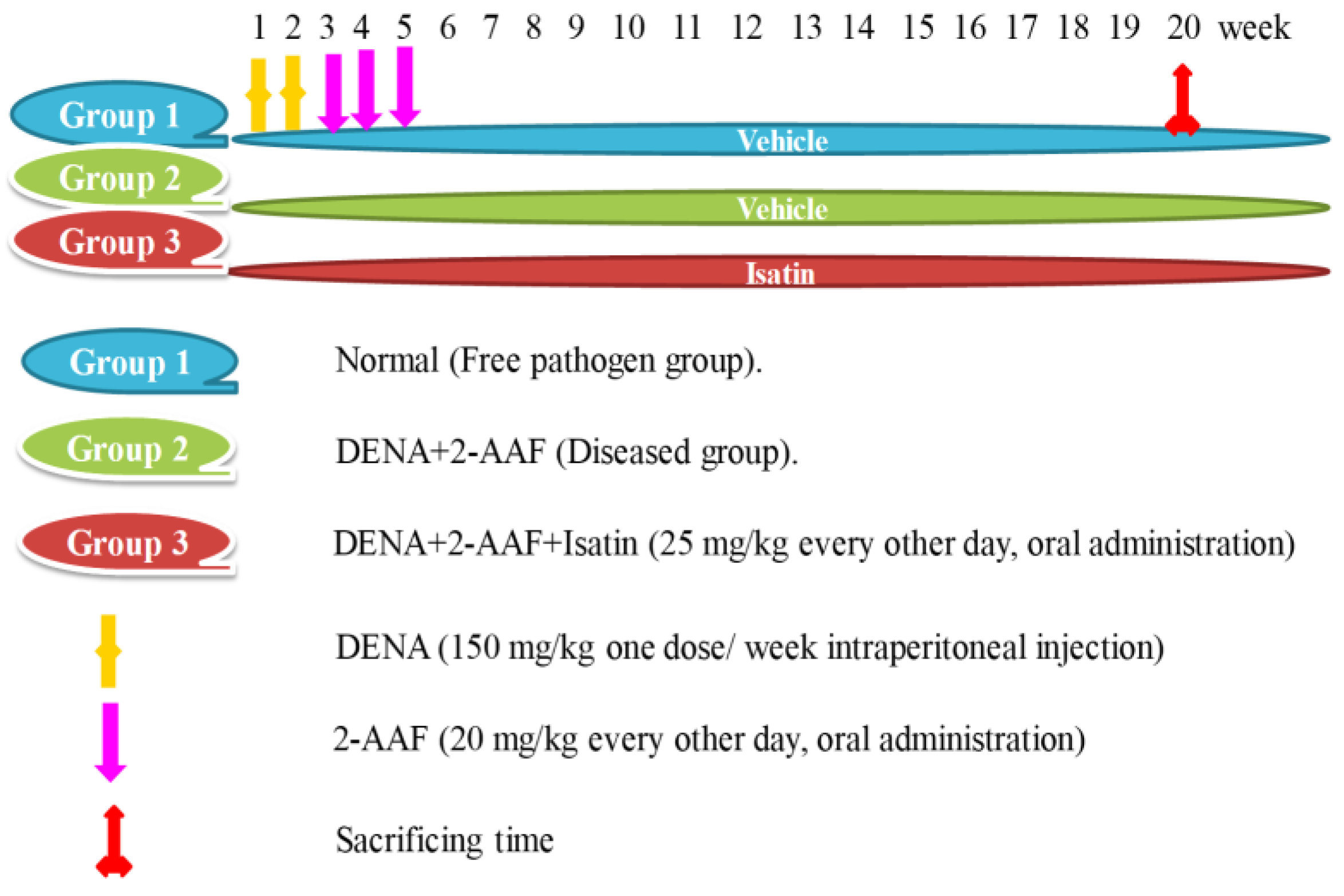 Antioxidants 11 00699 g001