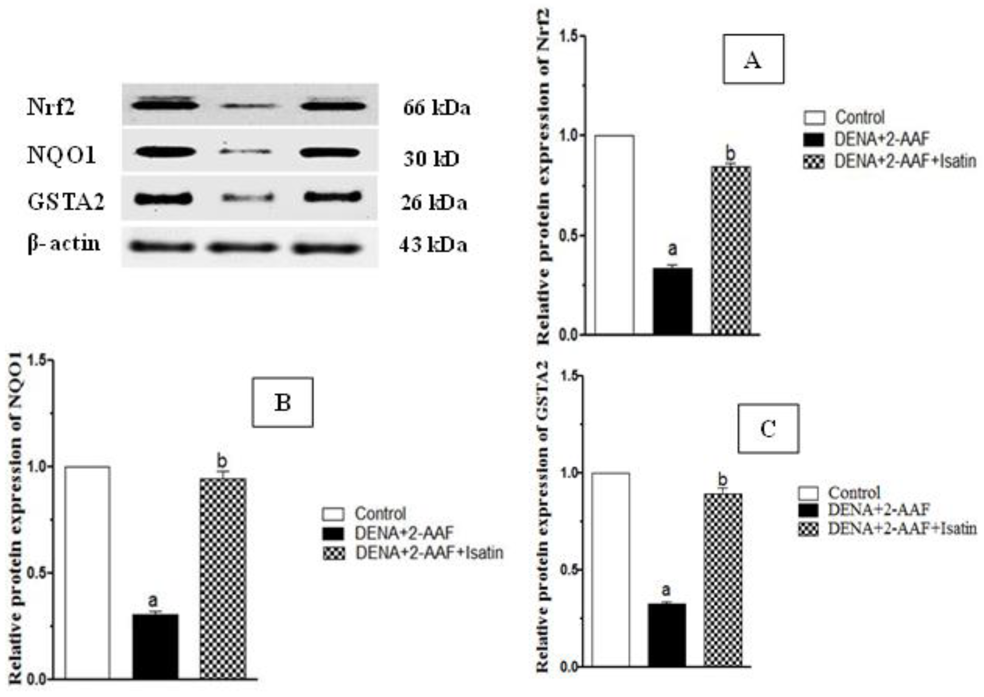 Antioxidants 11 00699 g005