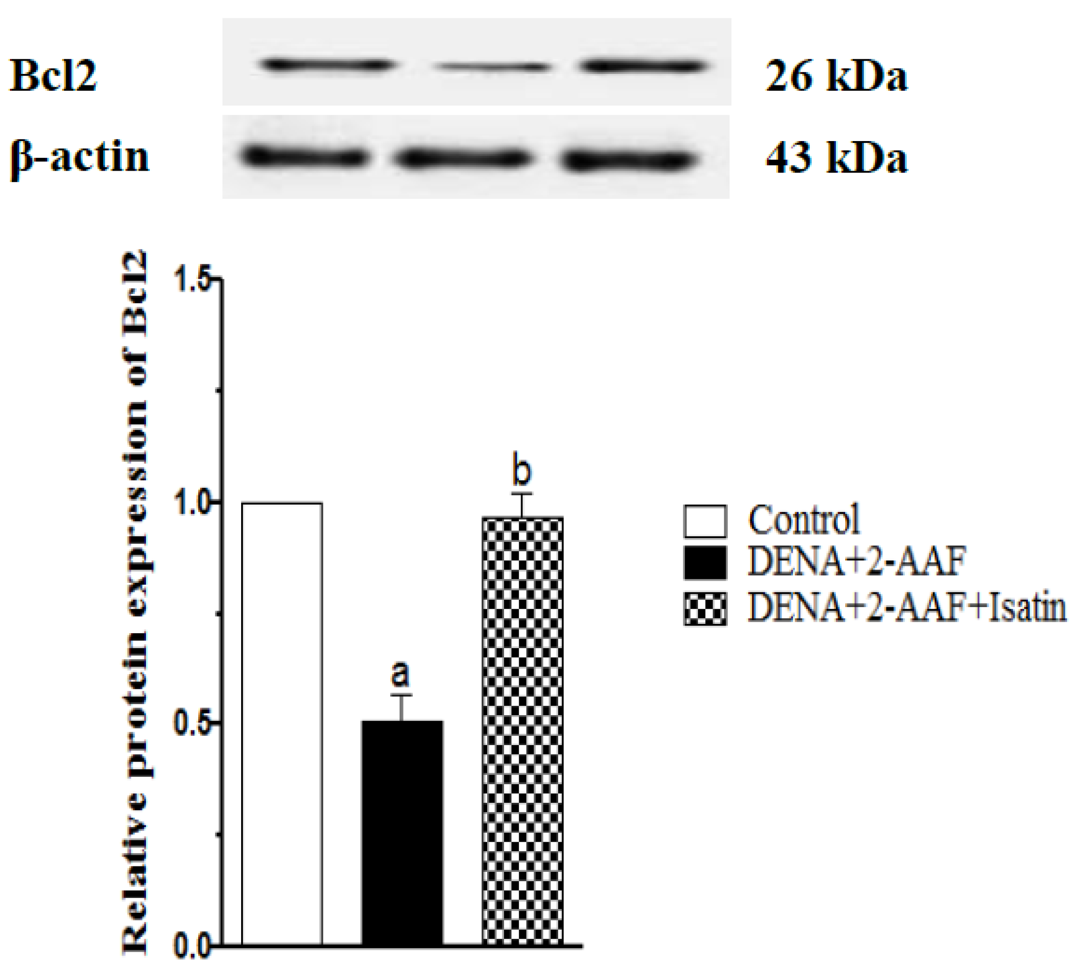 Antioxidants 11 00699 g007