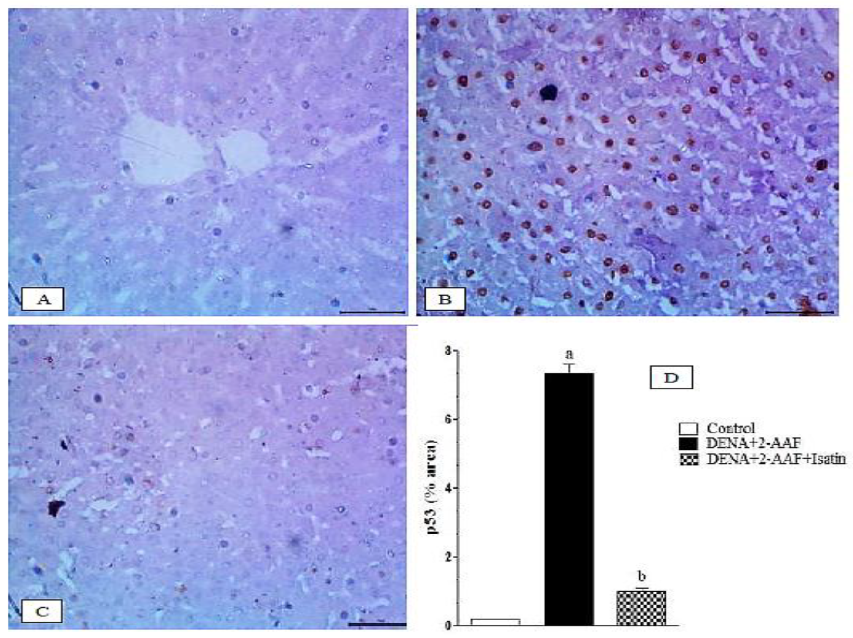 Antioxidants 11 00699 g008
