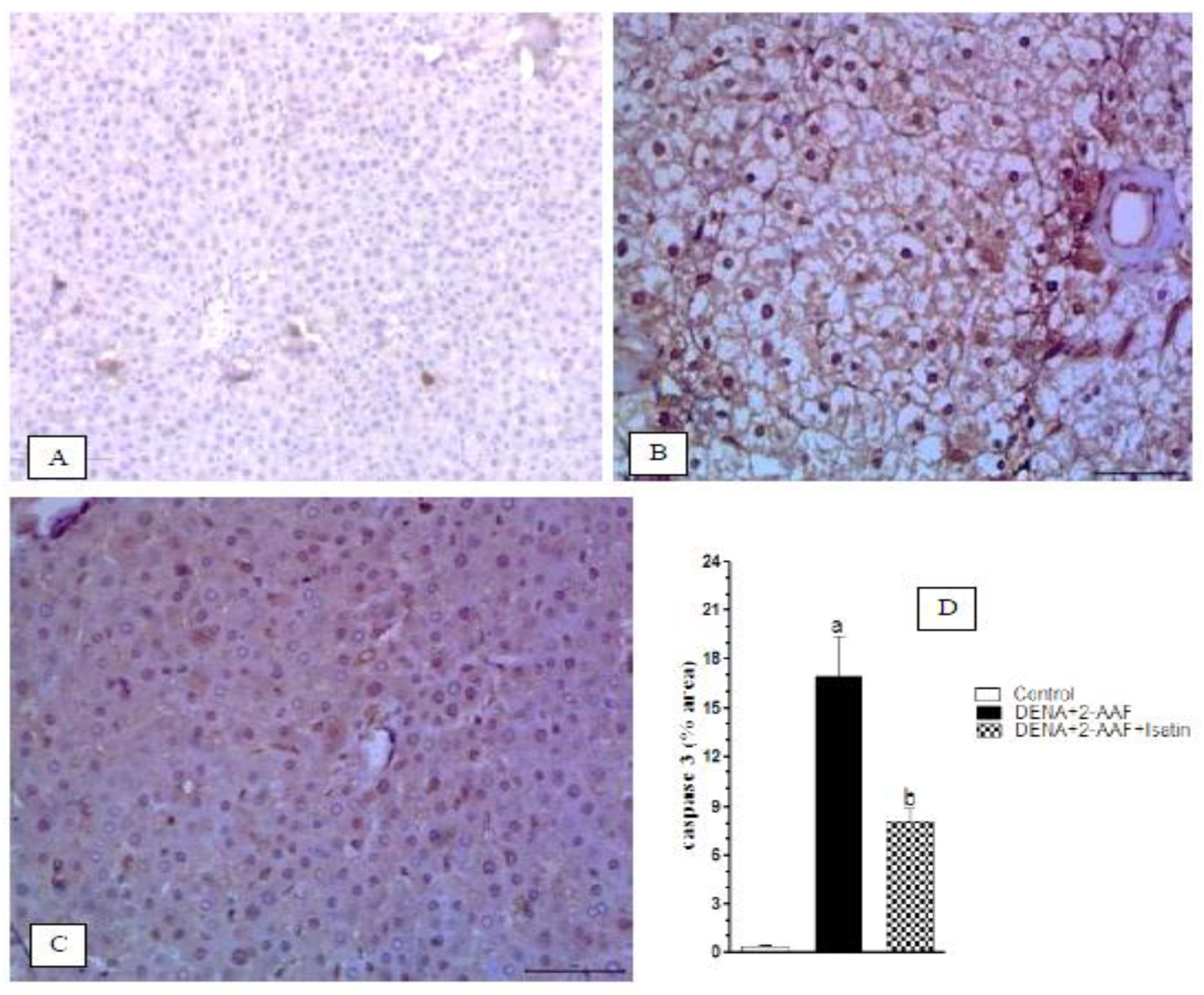Antioxidants 11 00699 g009