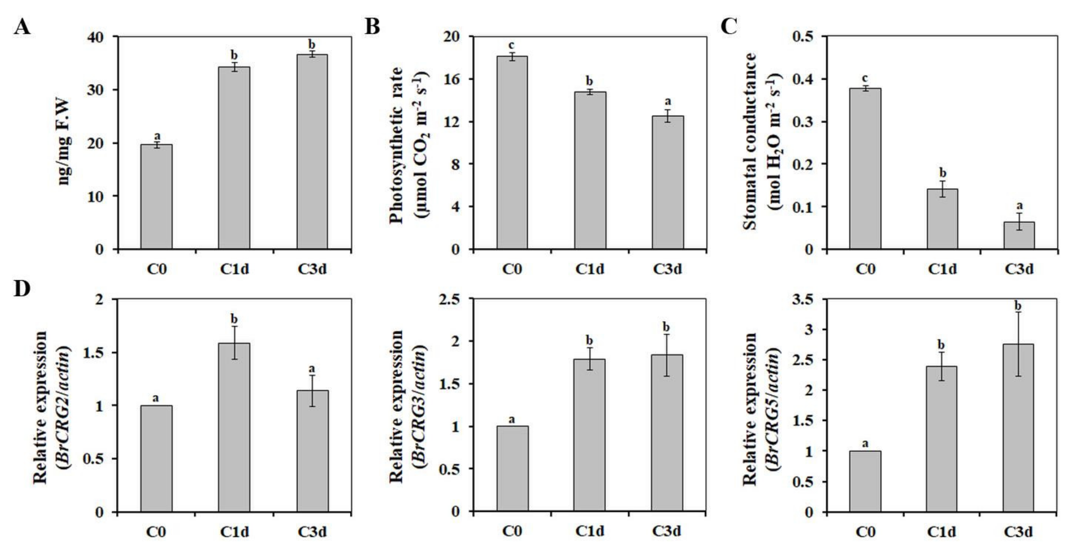 Antioxidants 11 00700 g001