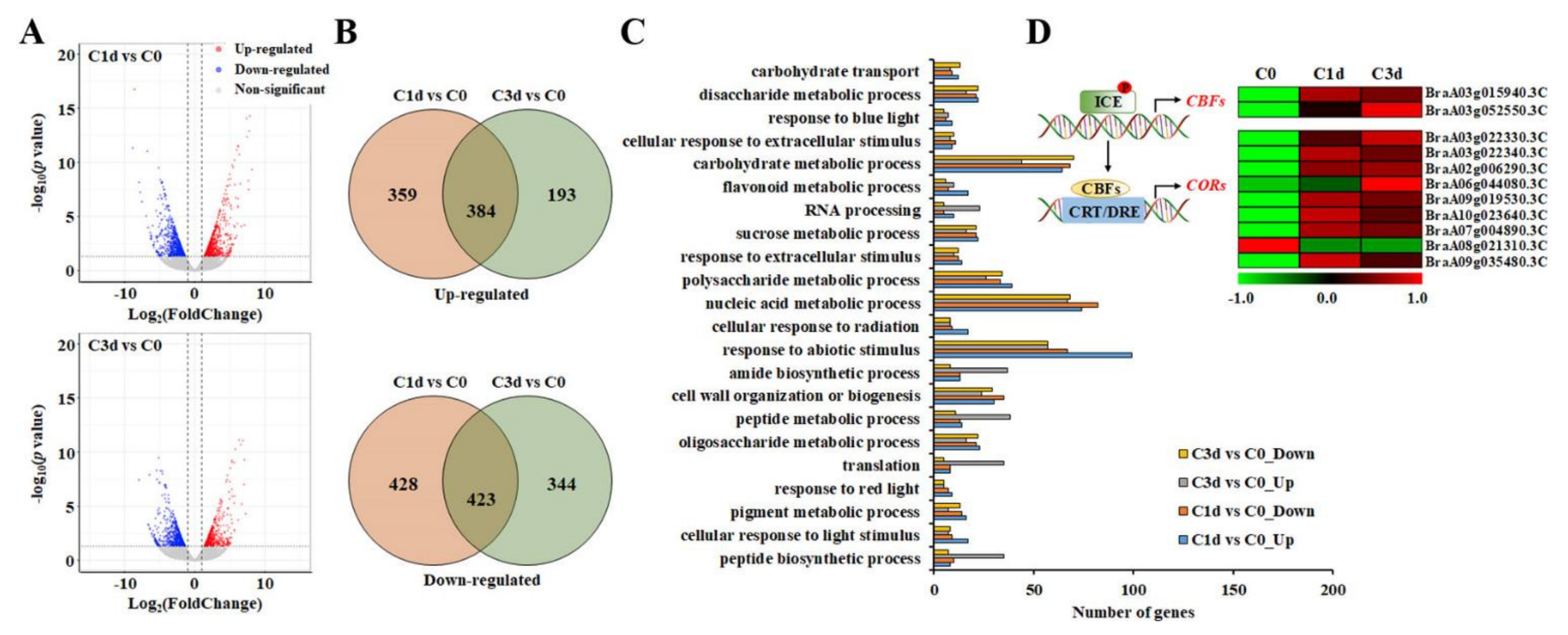 Antioxidants 11 00700 g002