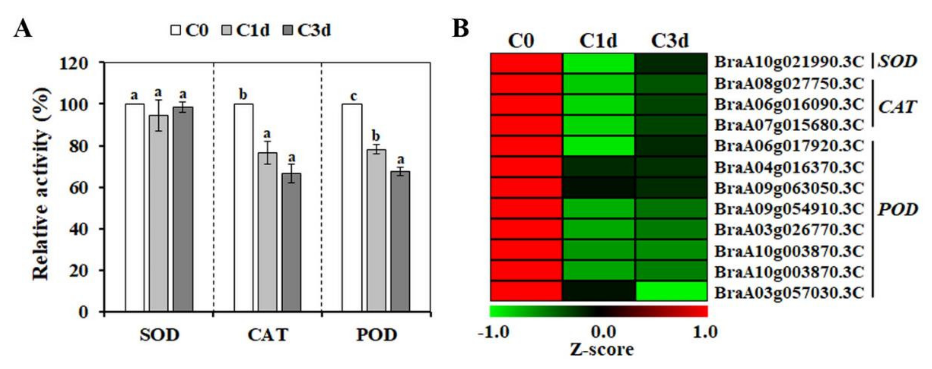 Antioxidants 11 00700 g004