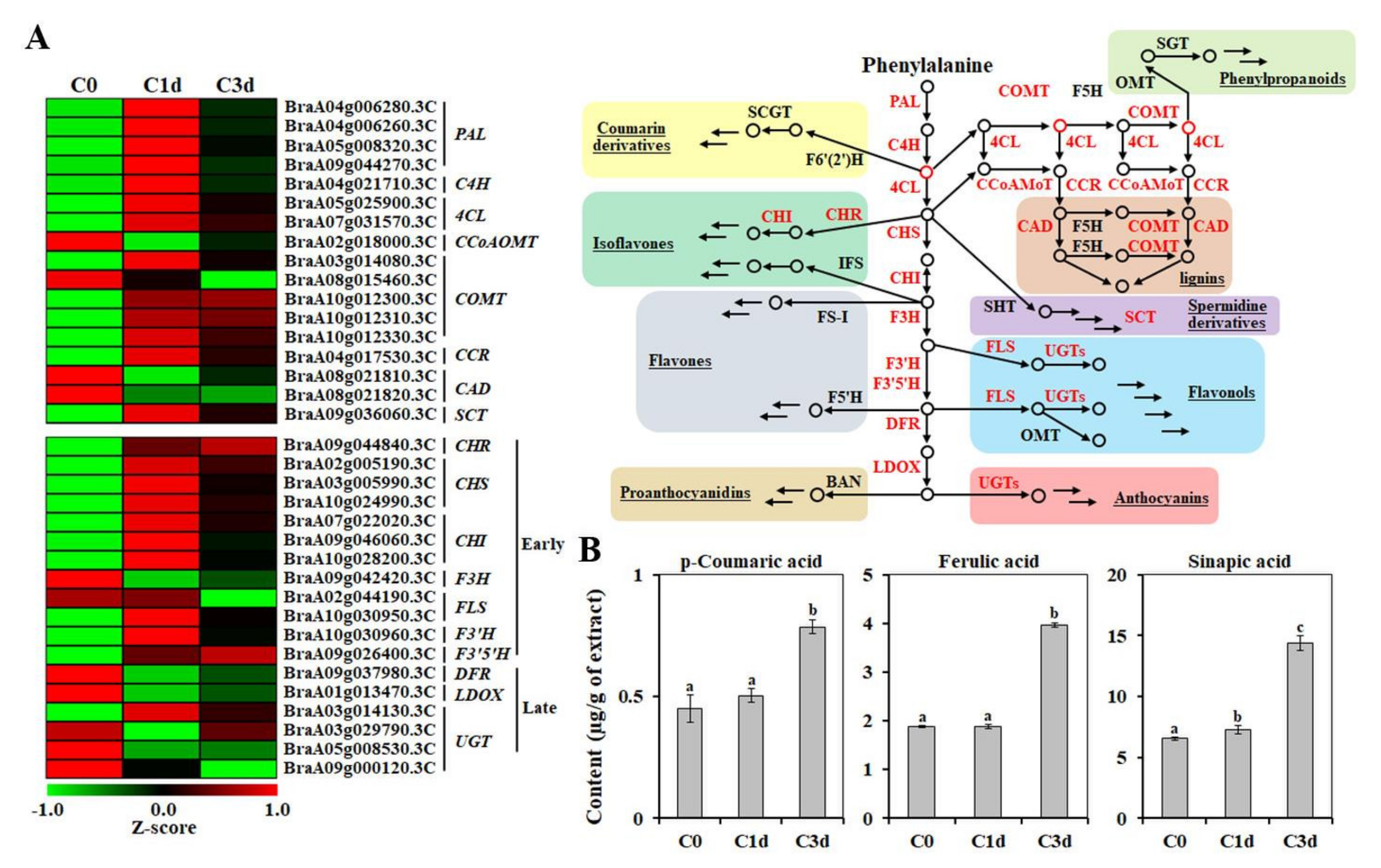 Antioxidants 11 00700 g005