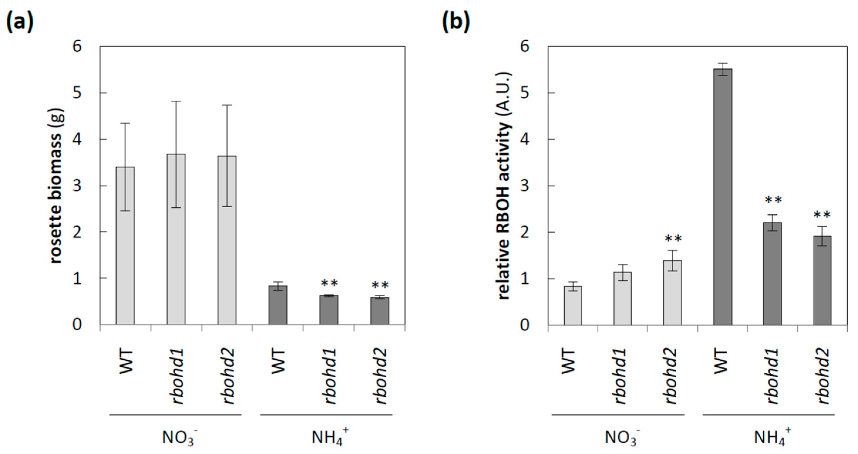 Antioxidants 11 00703 g001