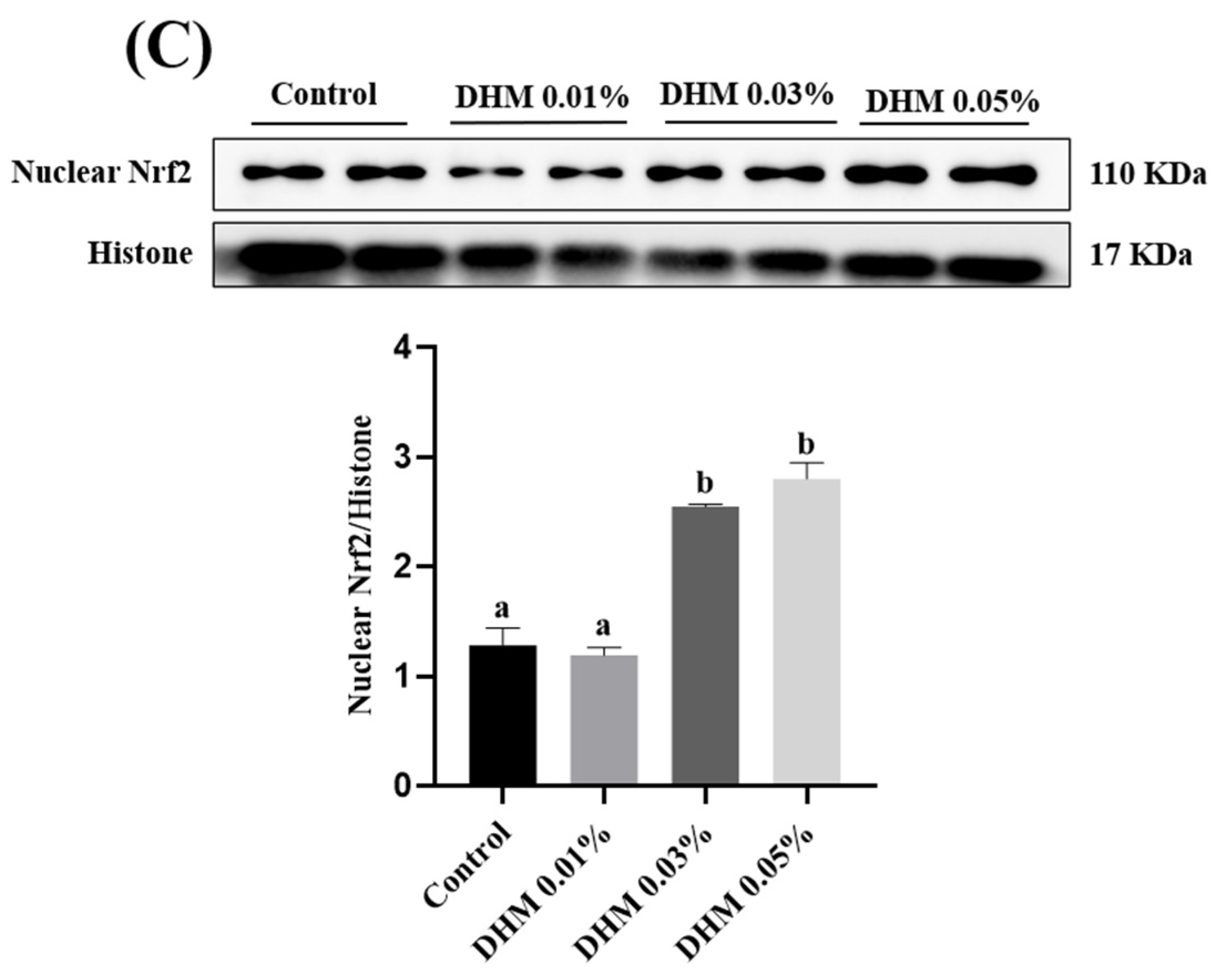 Antioxidants 11 00704 g001b