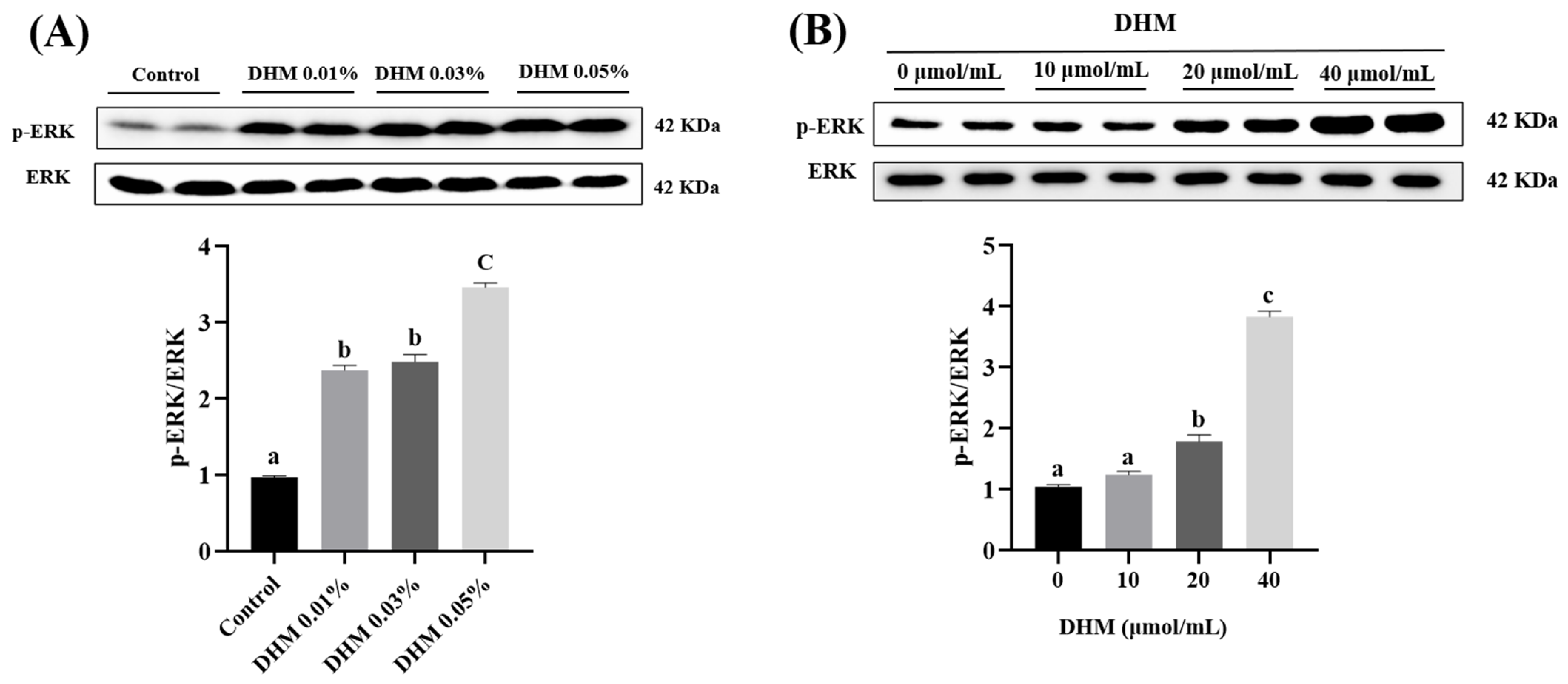 Antioxidants 11 00704 g003