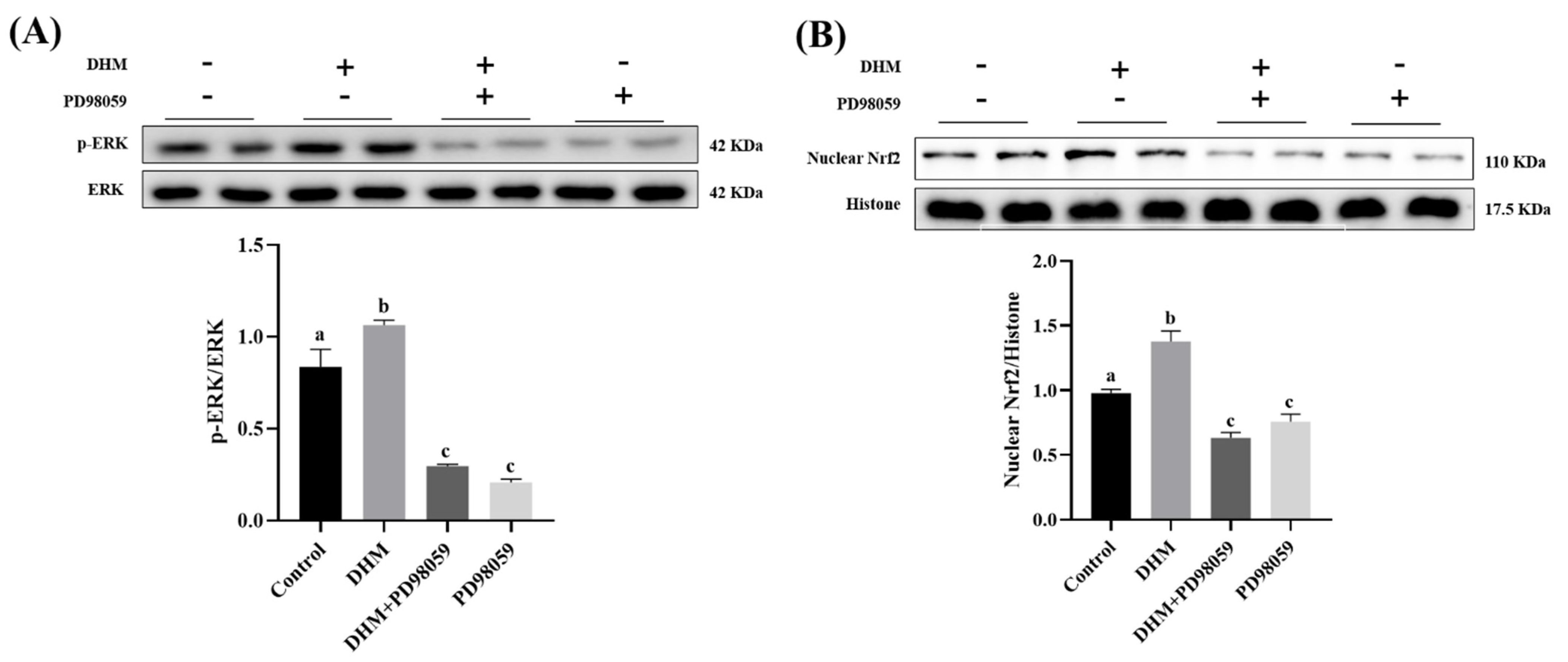 Antioxidants 11 00704 g004a