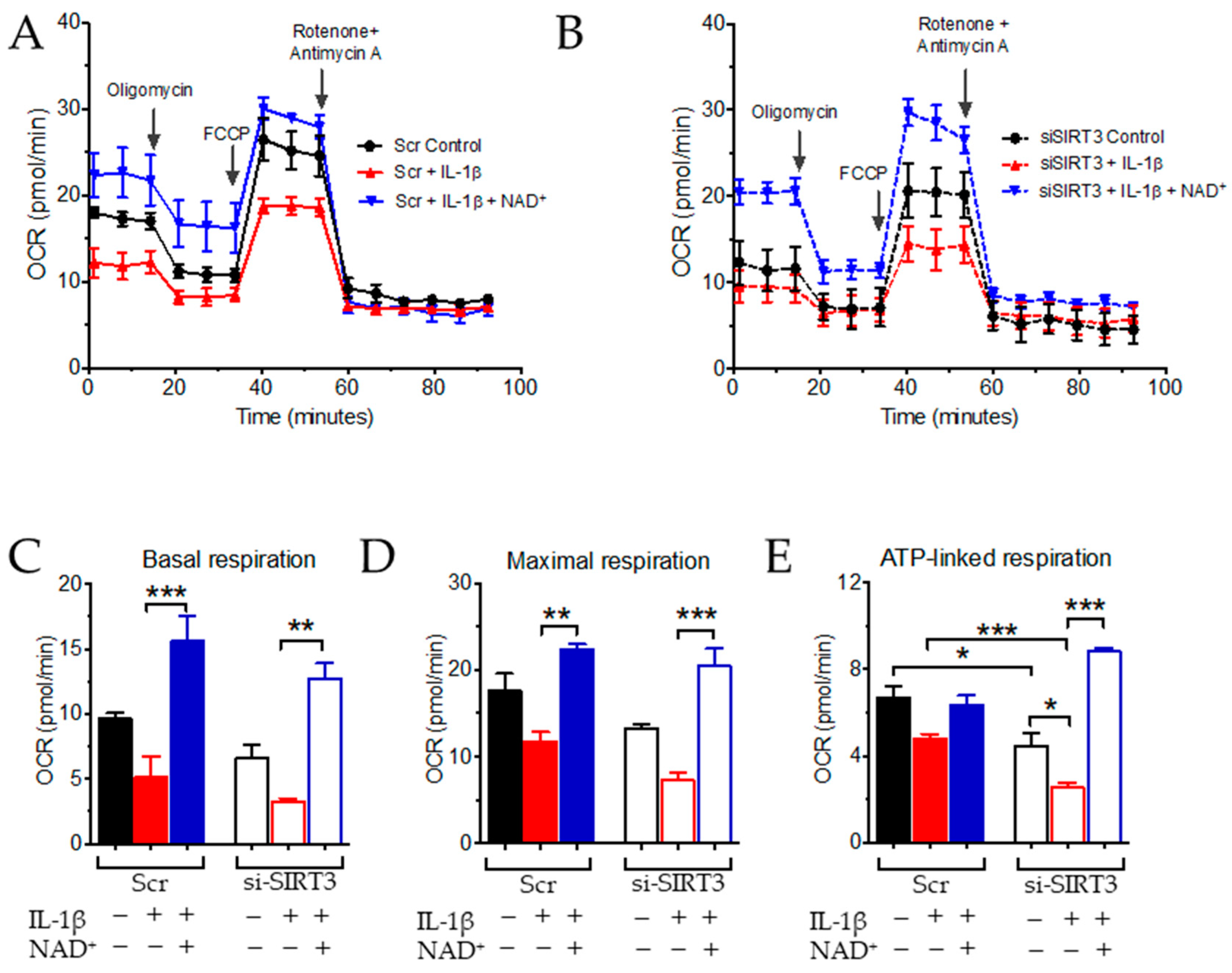 Antioxidants 11 00706 g002