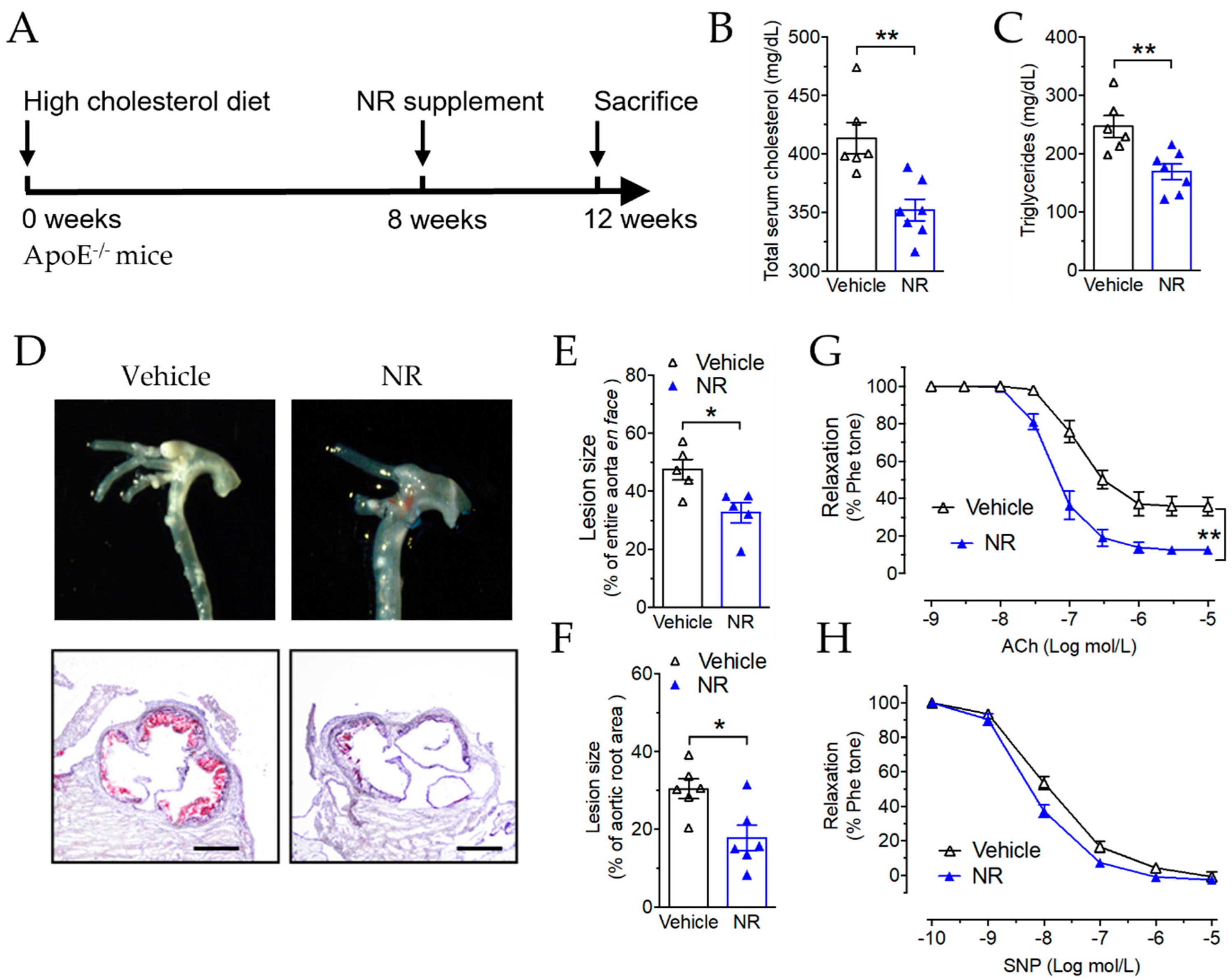 Antioxidants 11 00706 g005