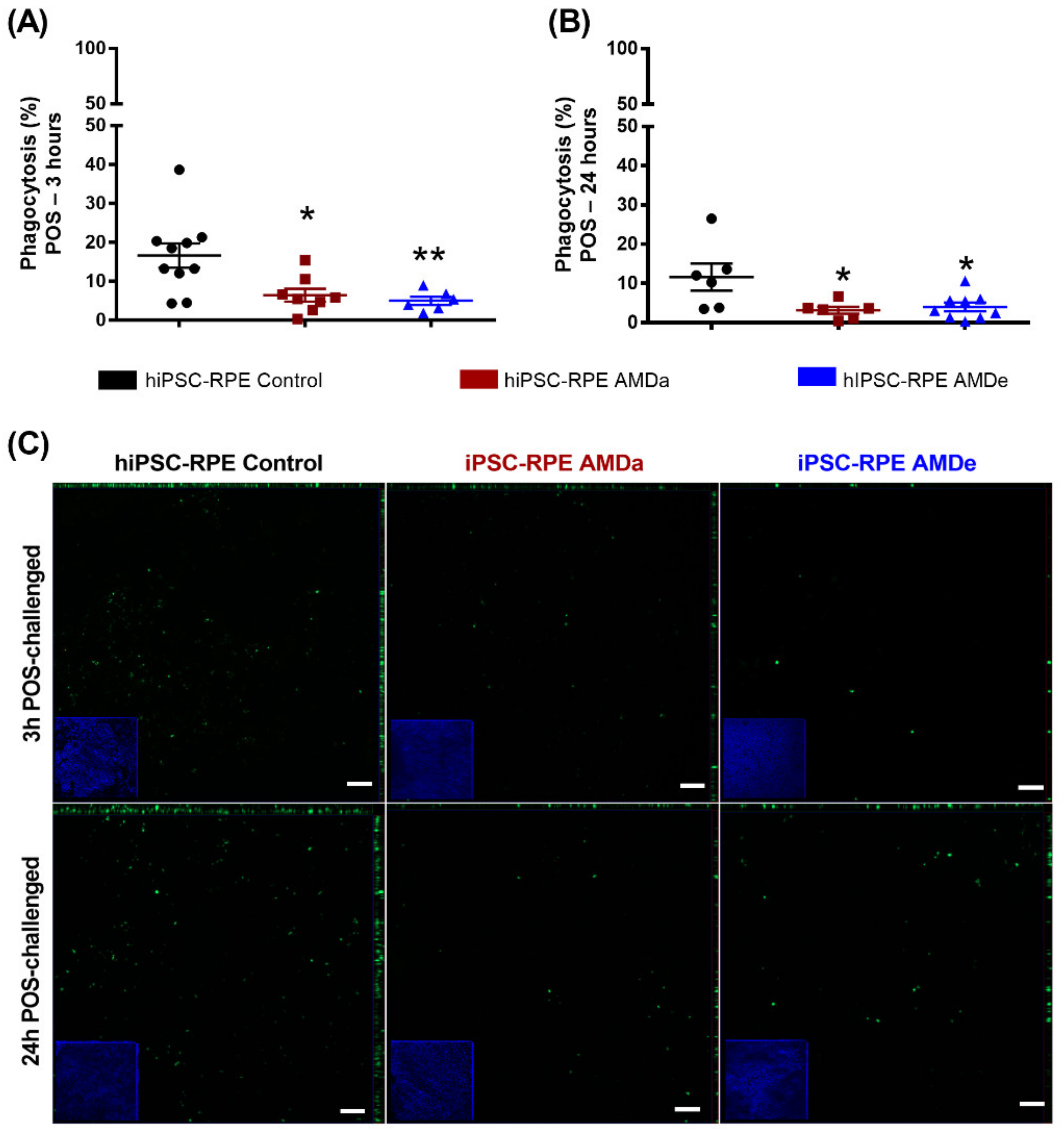 Antioxidants 11 00713 g002
